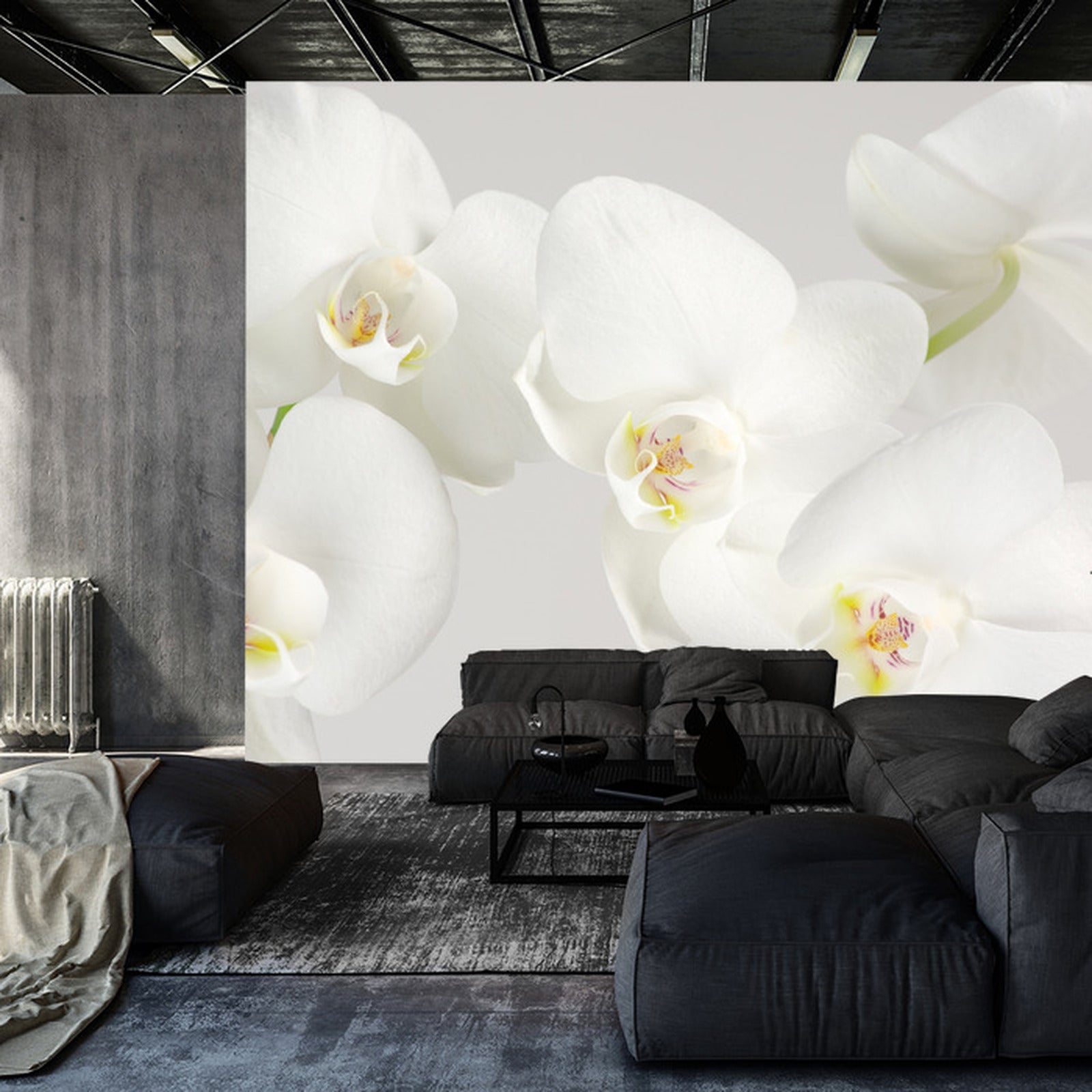 Fototapet Vakker Hvitkål