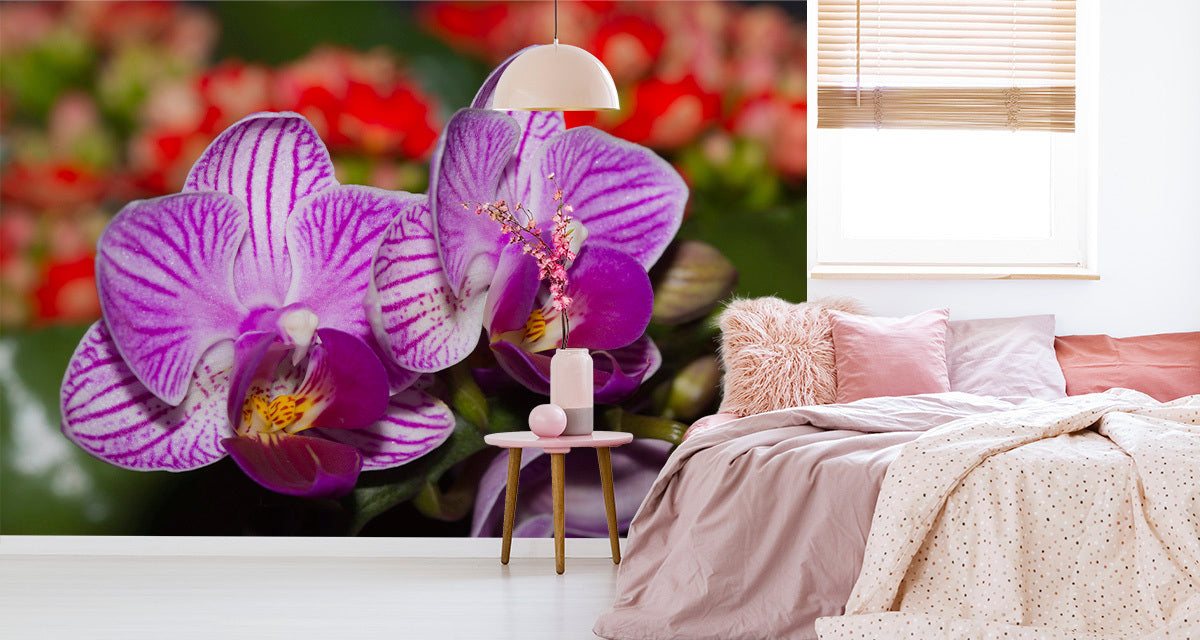 Fototapet Optisk Orchid 3D