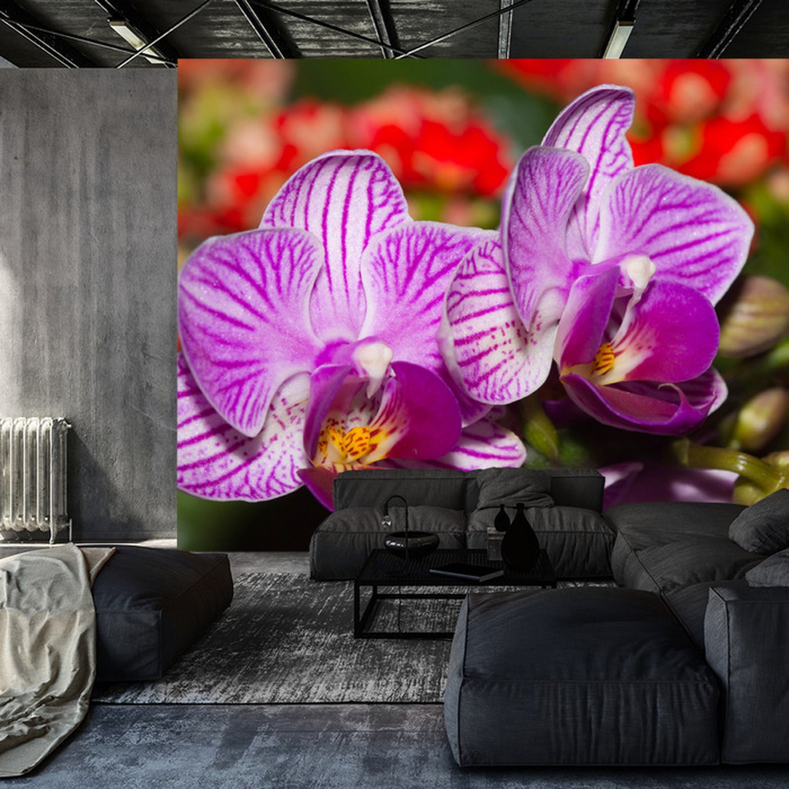 Fototapet Optisk Orchid 3D
