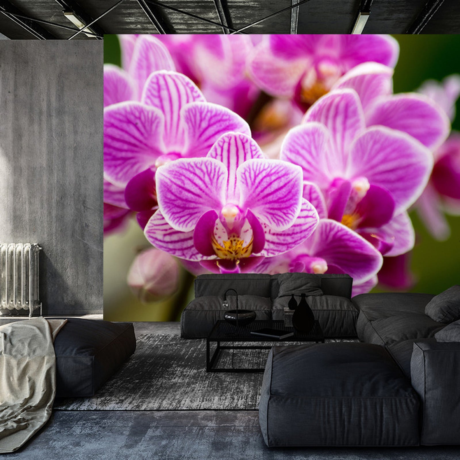 Fototapet Orkidébukett