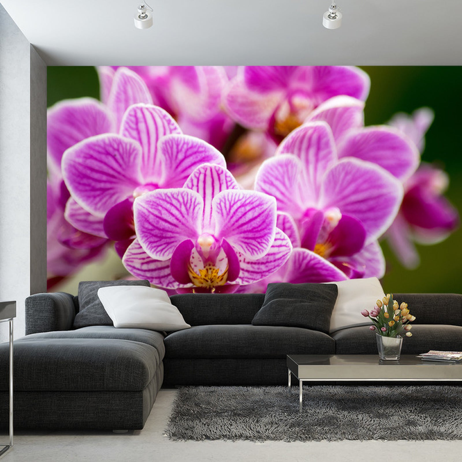 Fototapet Orkidébukett