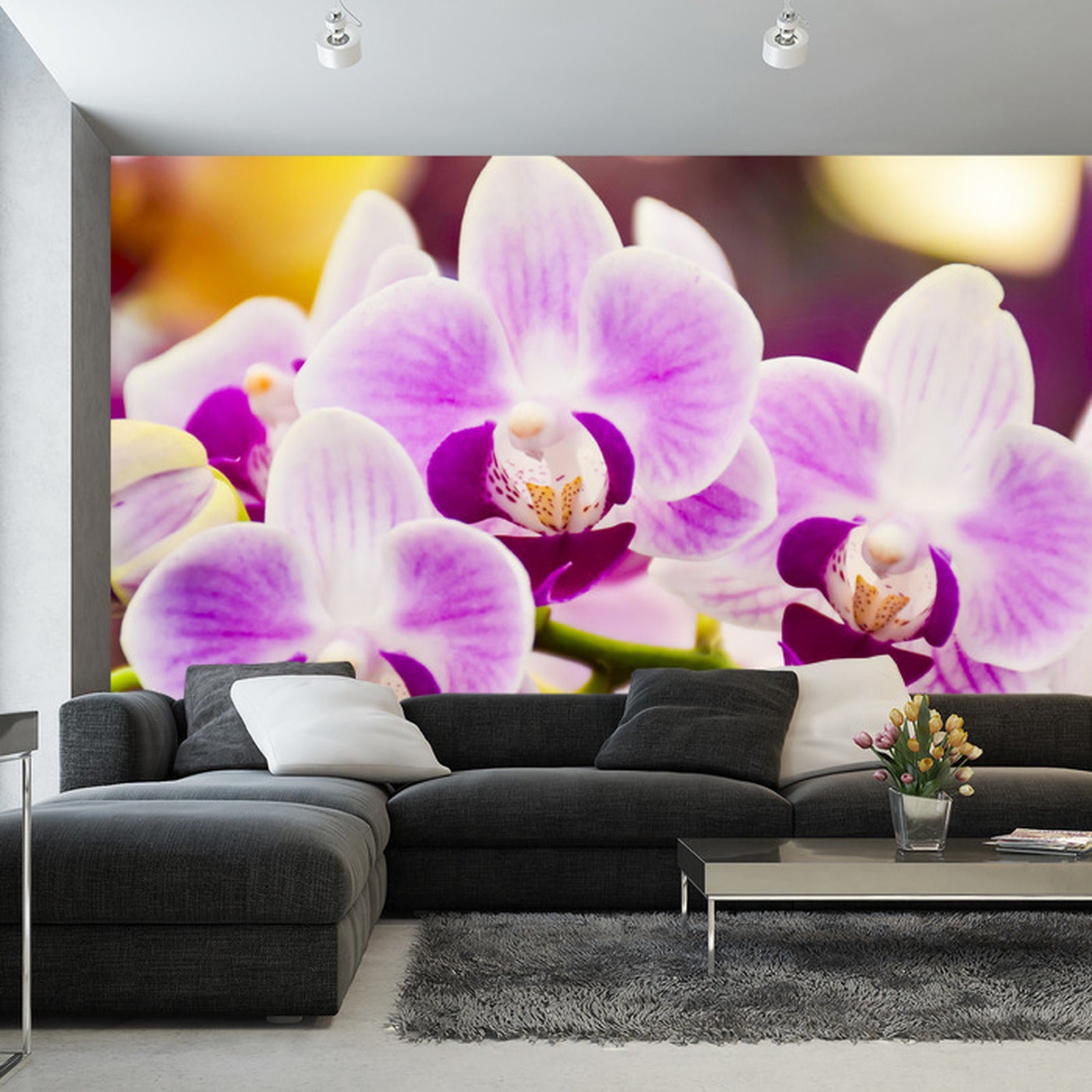 Fototapet Tropisk Orkide