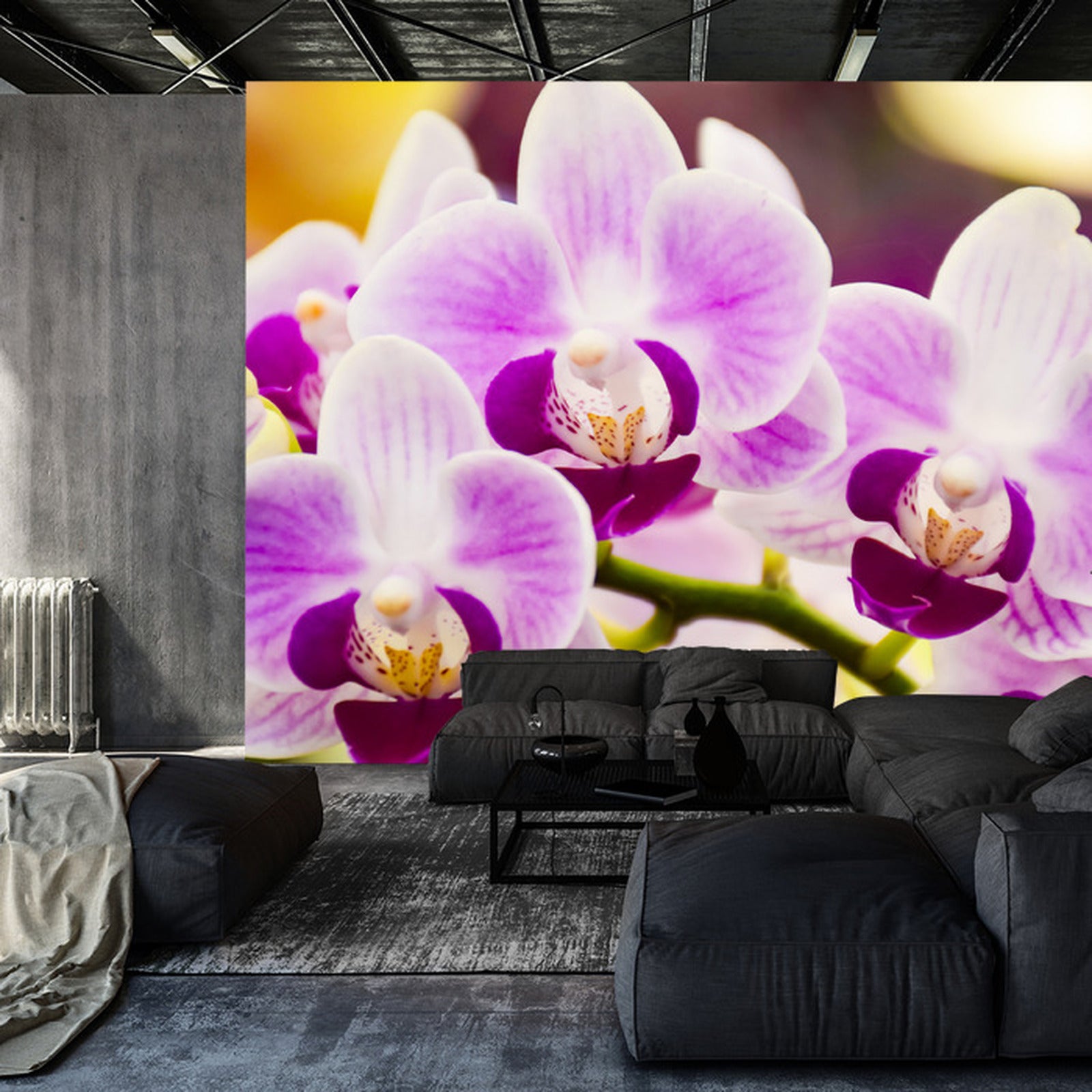 Fototapet Tropisk Orkide
