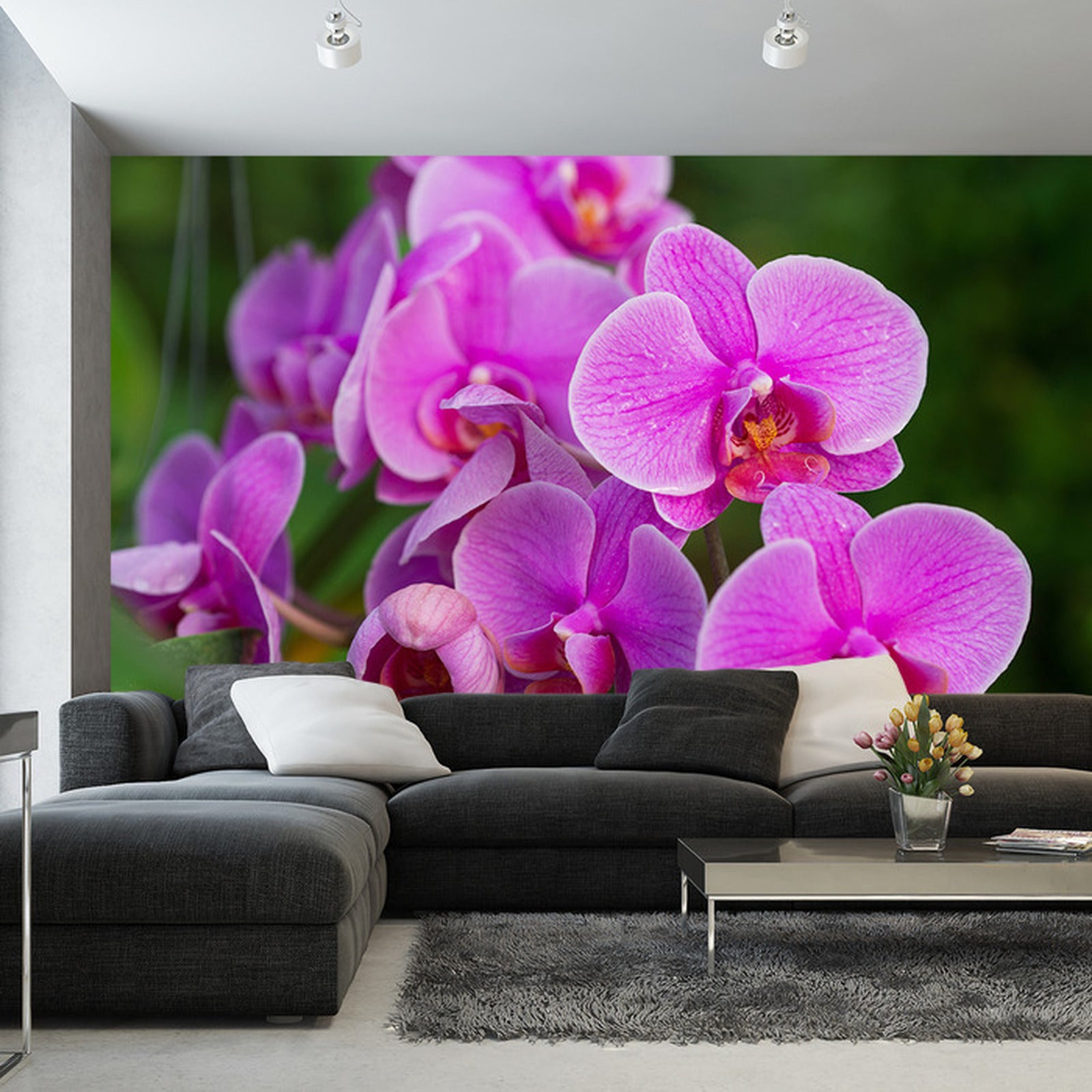 Fototapet Orchid Blossoms 3D