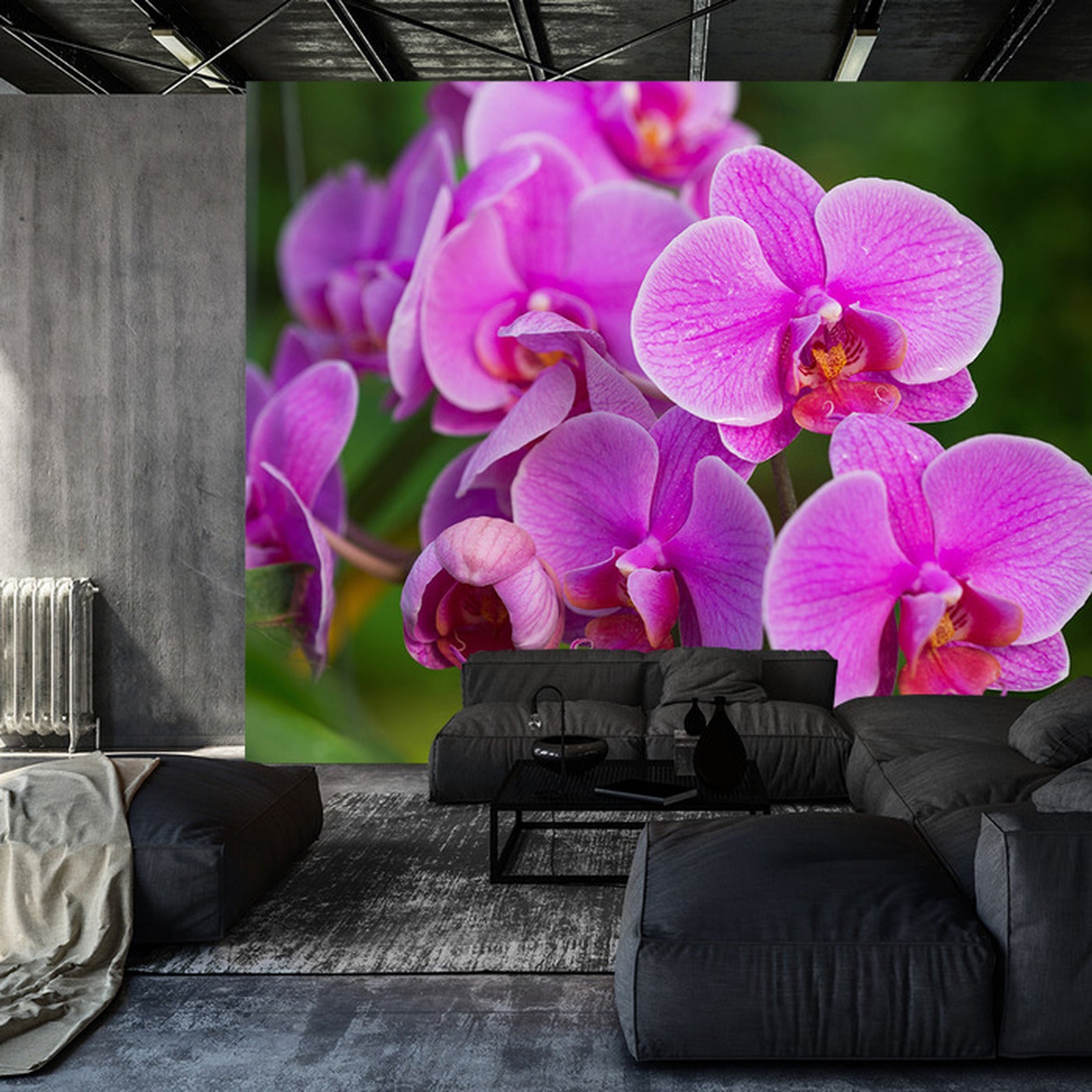 Fototapet Orchid Blossoms 3D