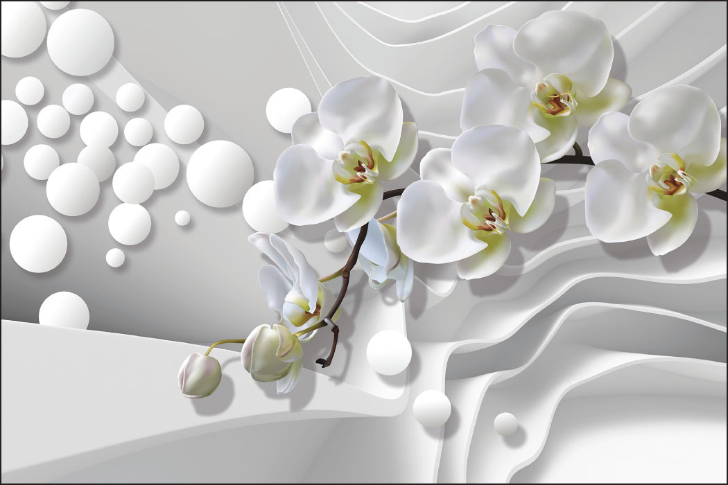 Fototapet Hvite Orkideer