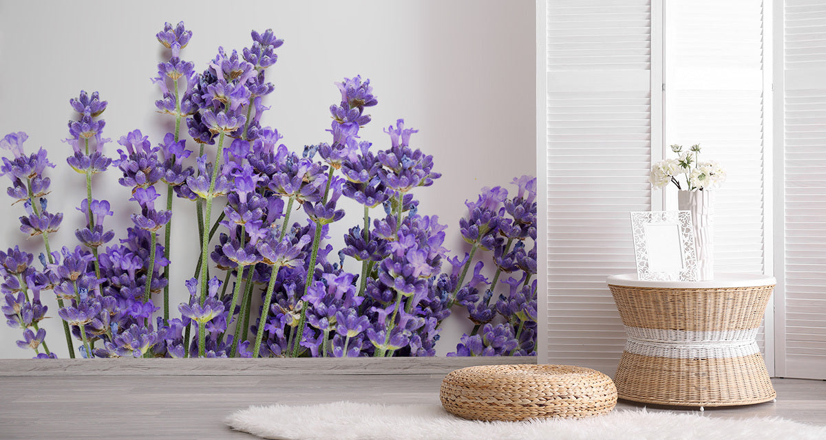 Fototapet lavendel-stilker