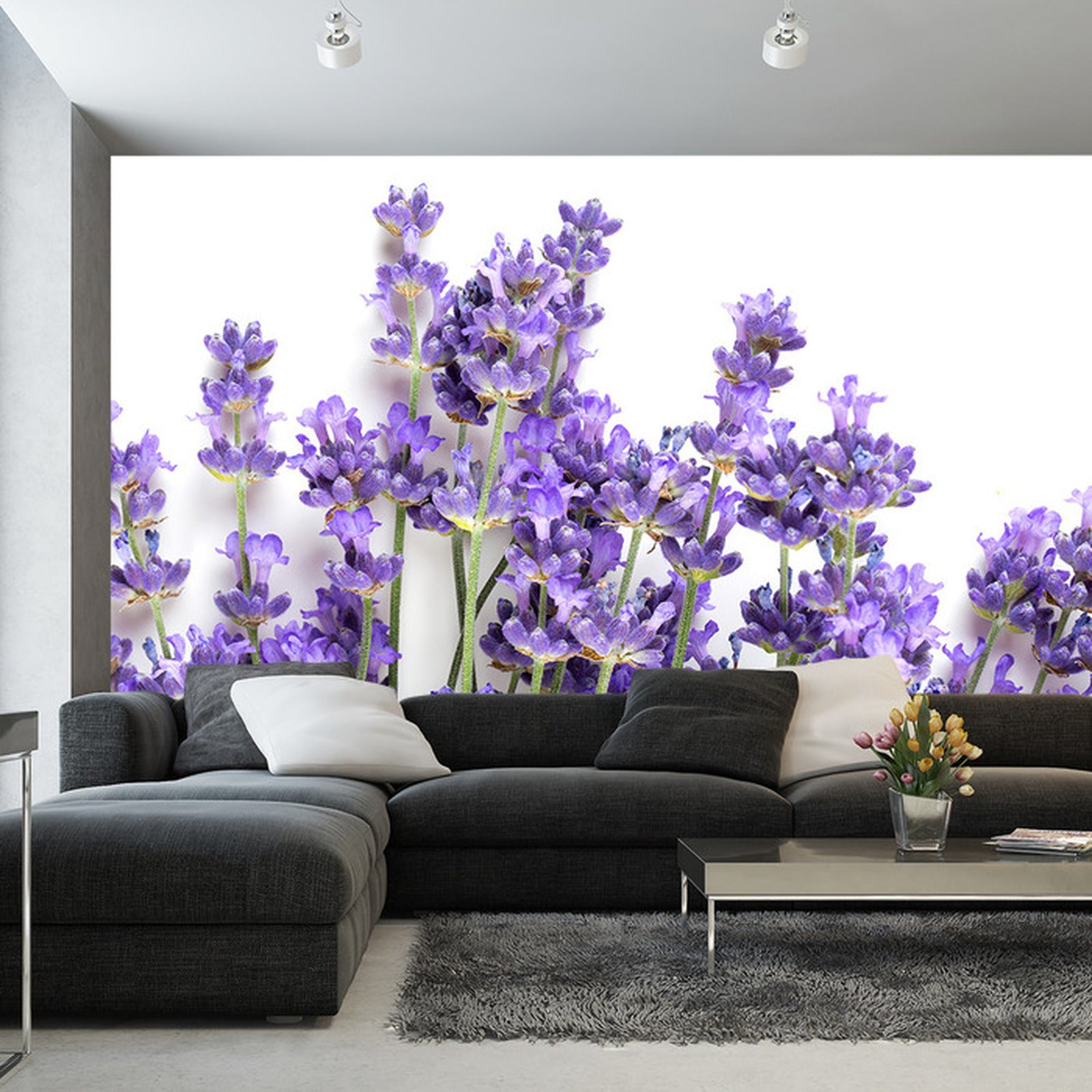 Fototapet lavendel-stilker