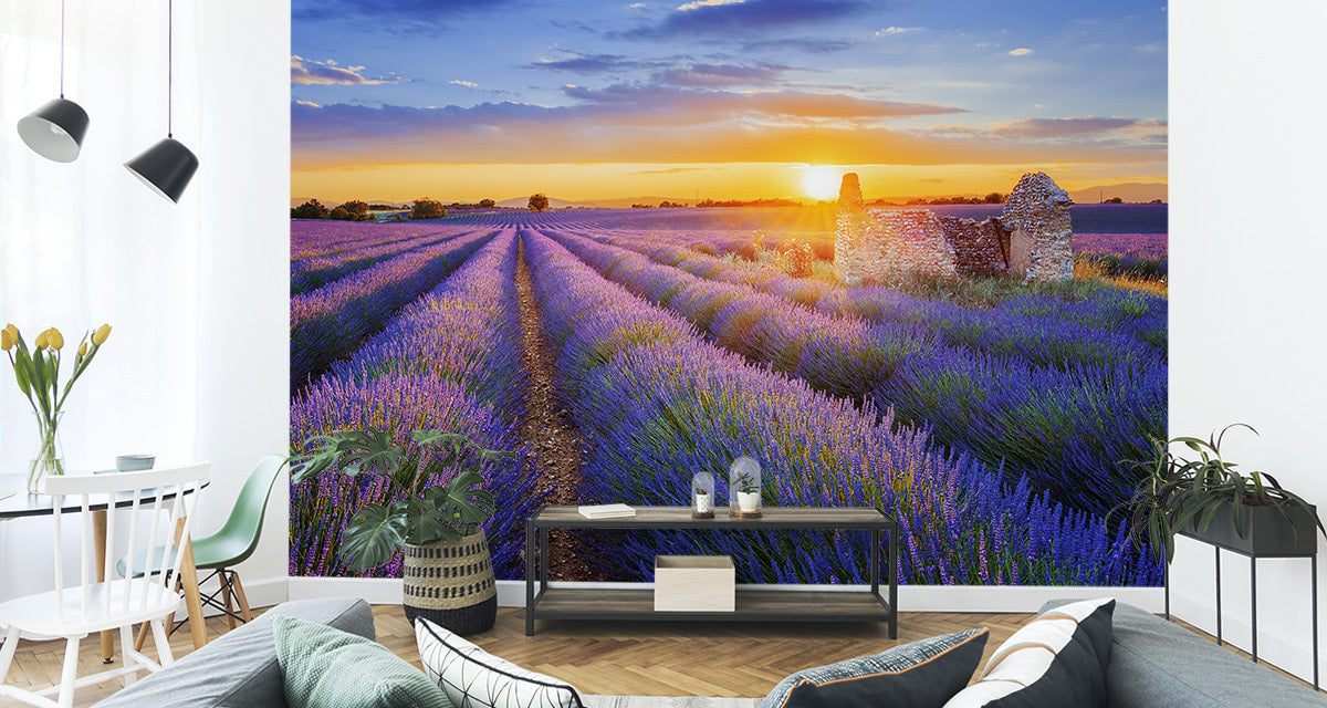 Fototapet lavendel-blomster 4