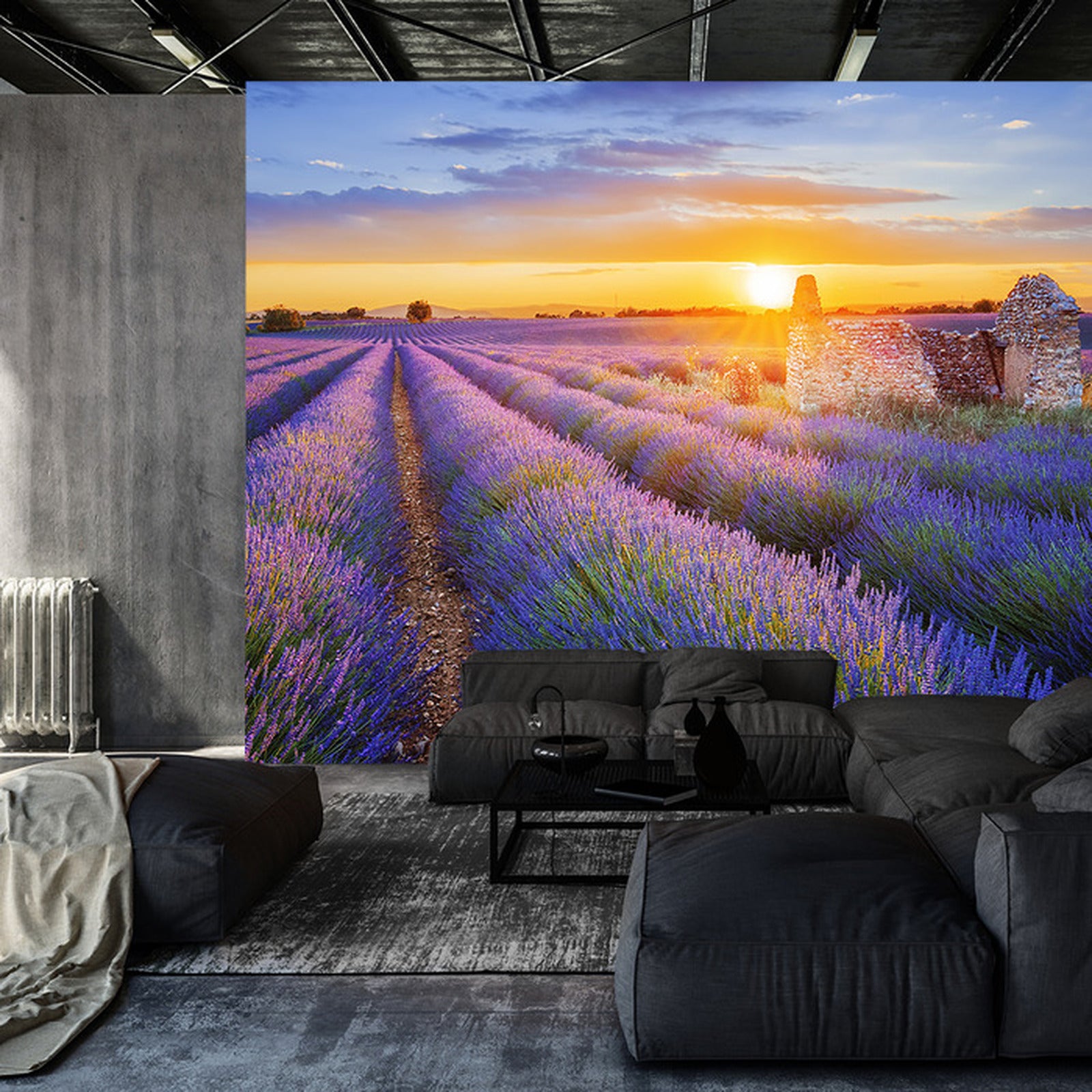 Fototapet lavendel-blomster 4