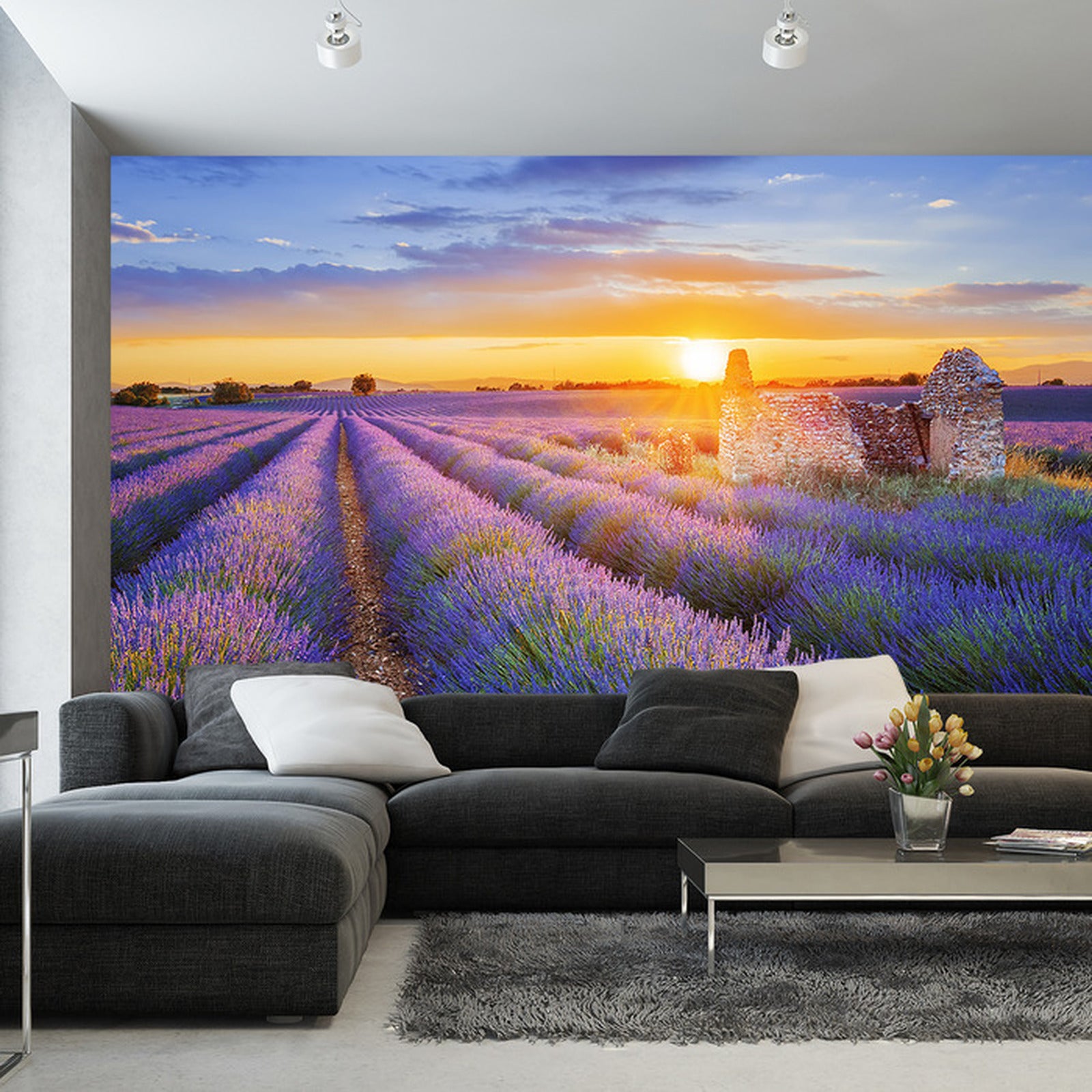 Fototapet lavendel-blomster 4