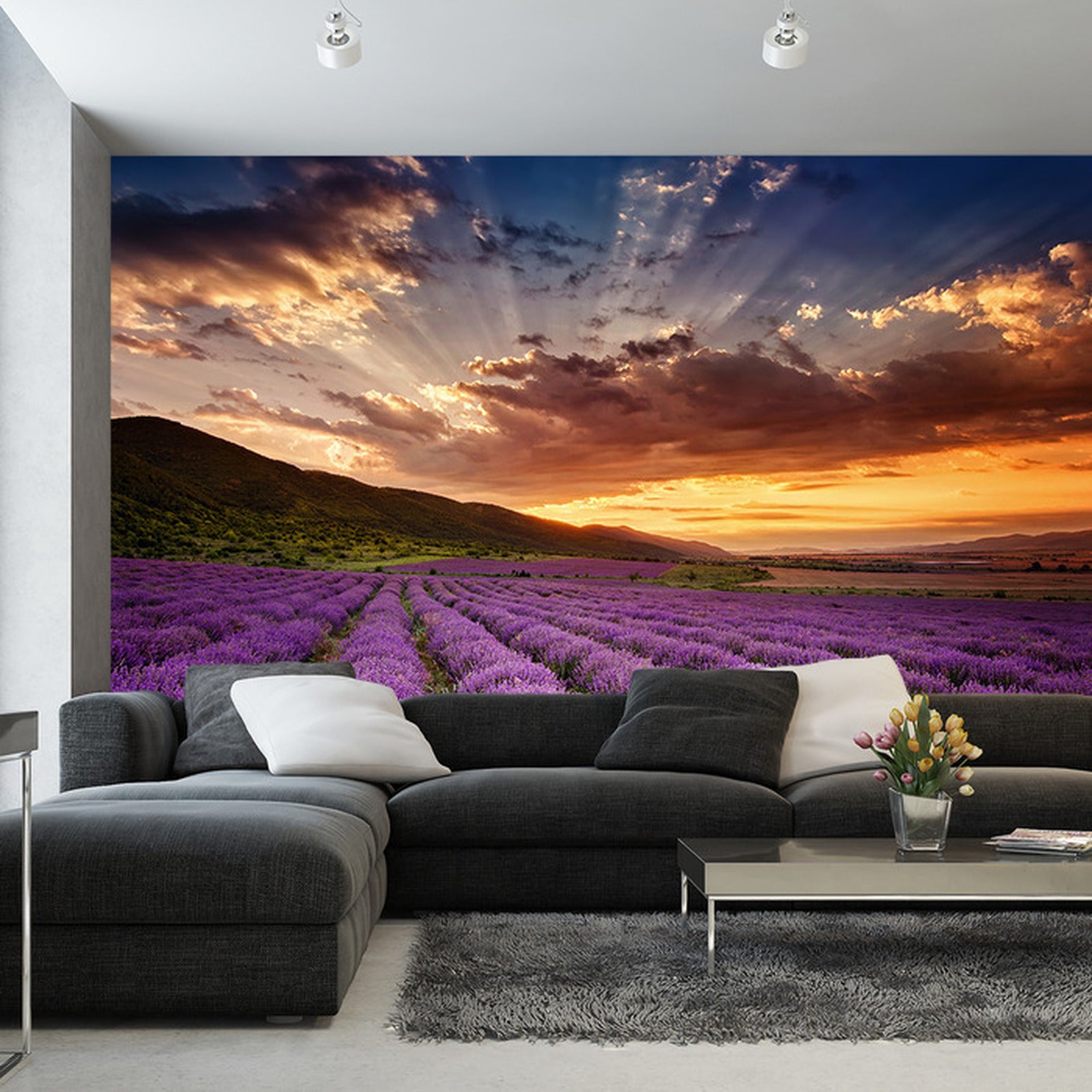 Fototapet Lavendelslette 2