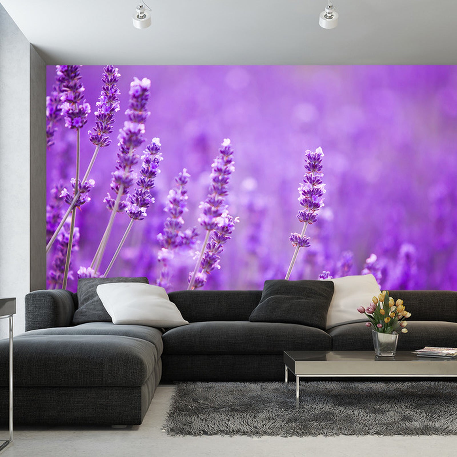 Fototapet Fototapete Landschaft Feld Lavendel