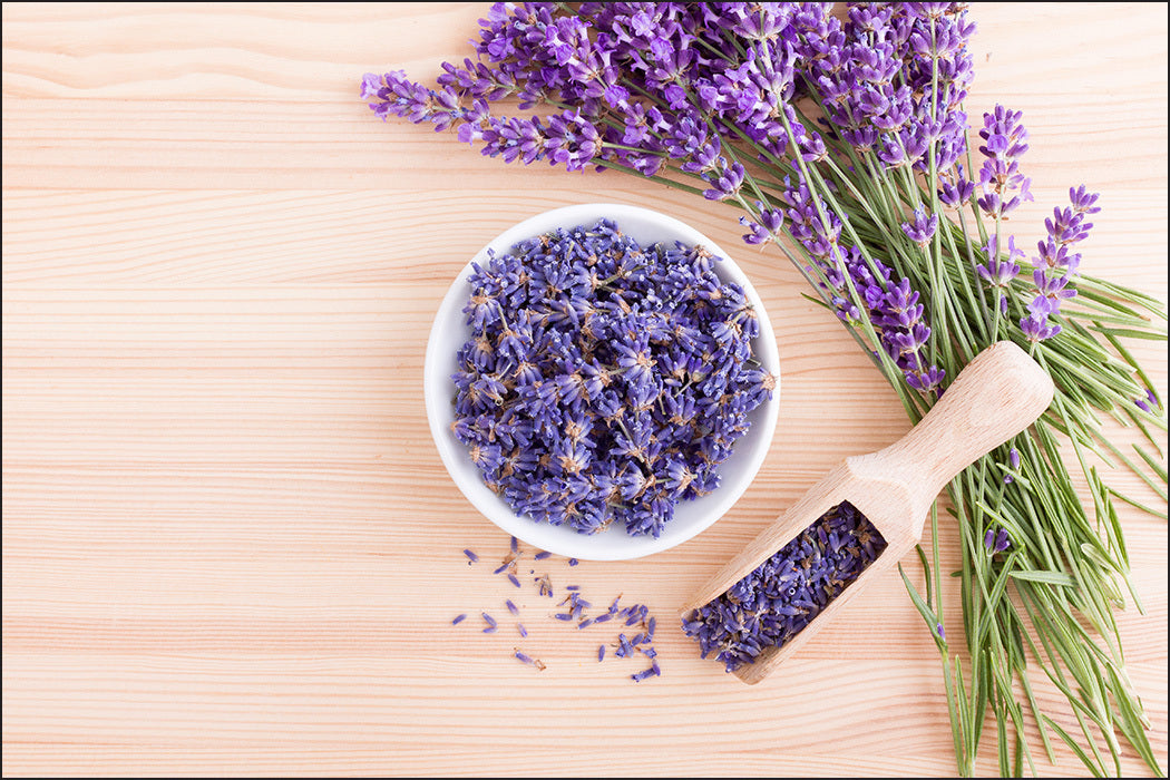 Fototapet Lavendel-blomster 7