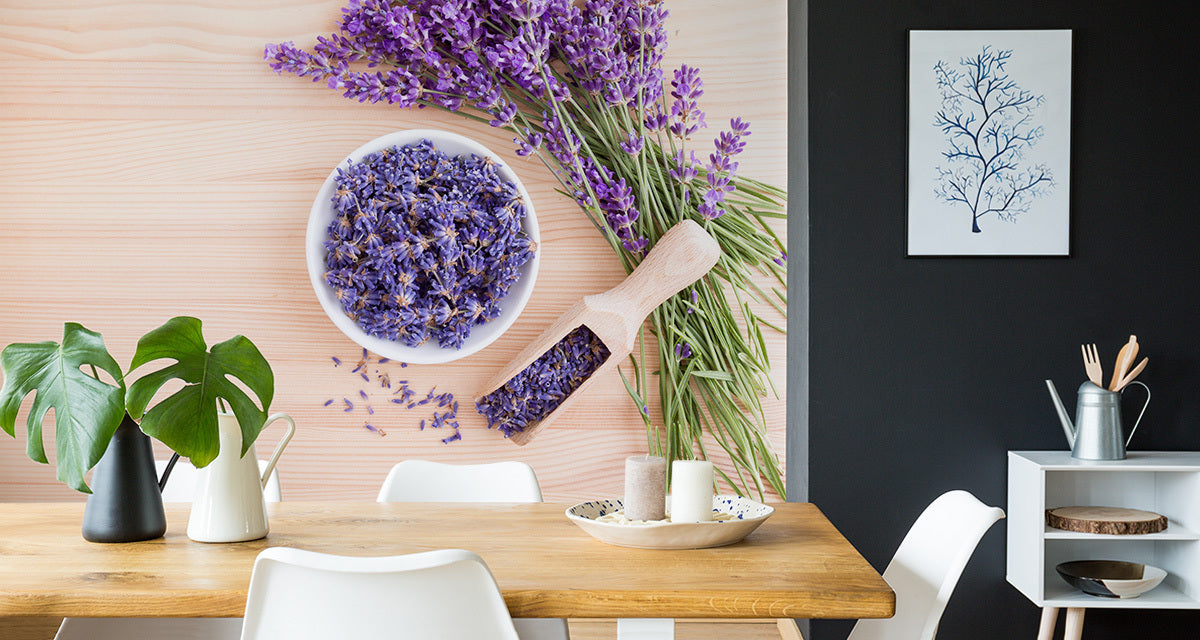 Fototapet Lavendel-blomster 7