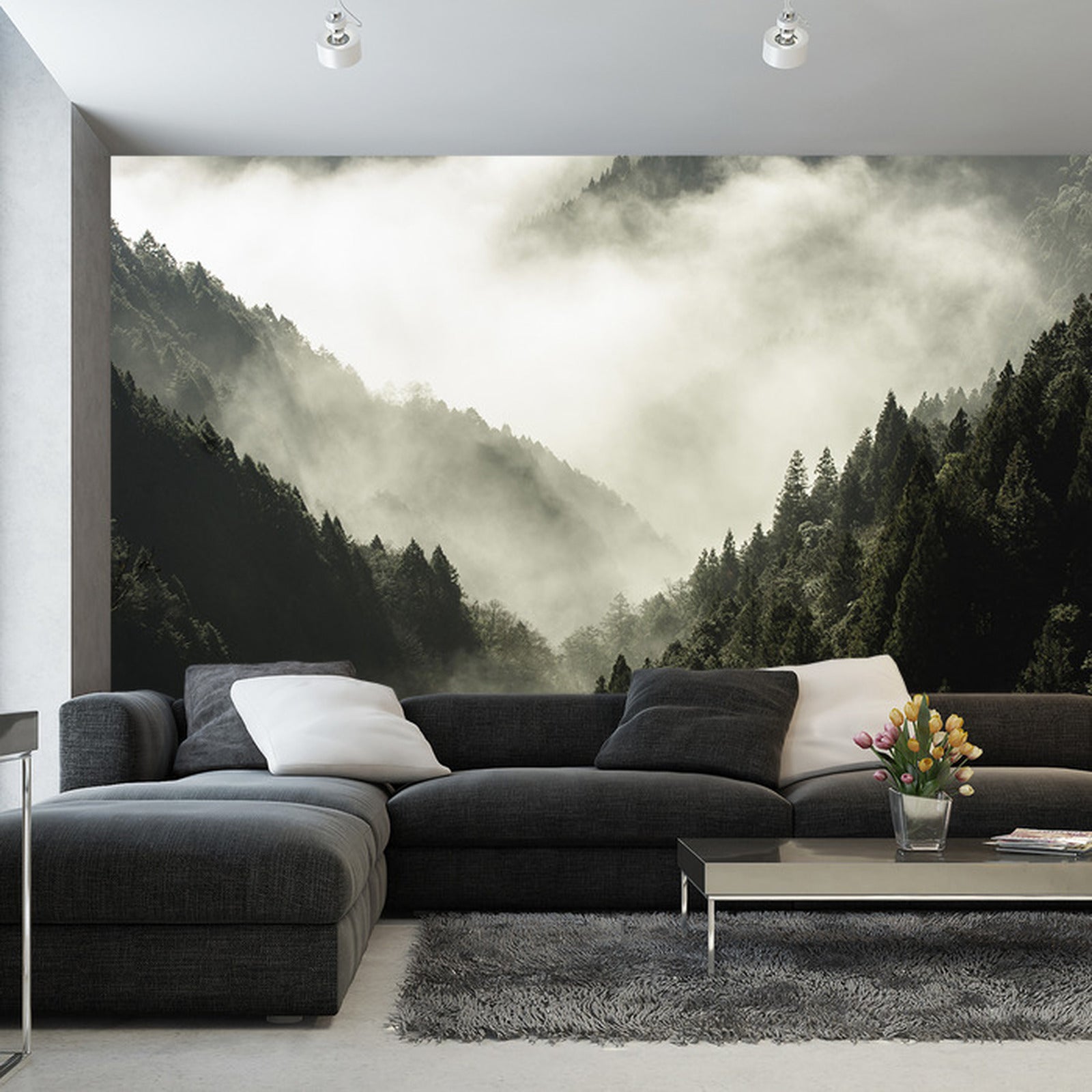 Fototapet Skog I Tåke 4