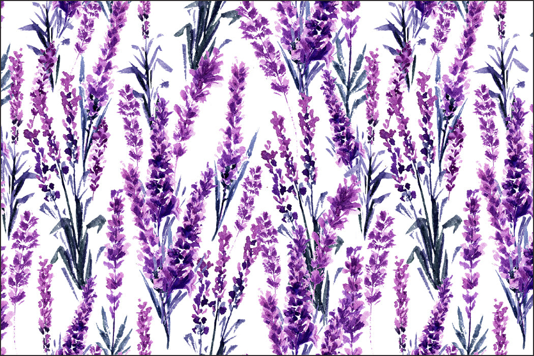 Fototapet Lavendelblomster