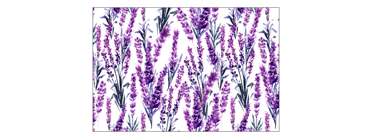 Fototapet Lavendelblomster