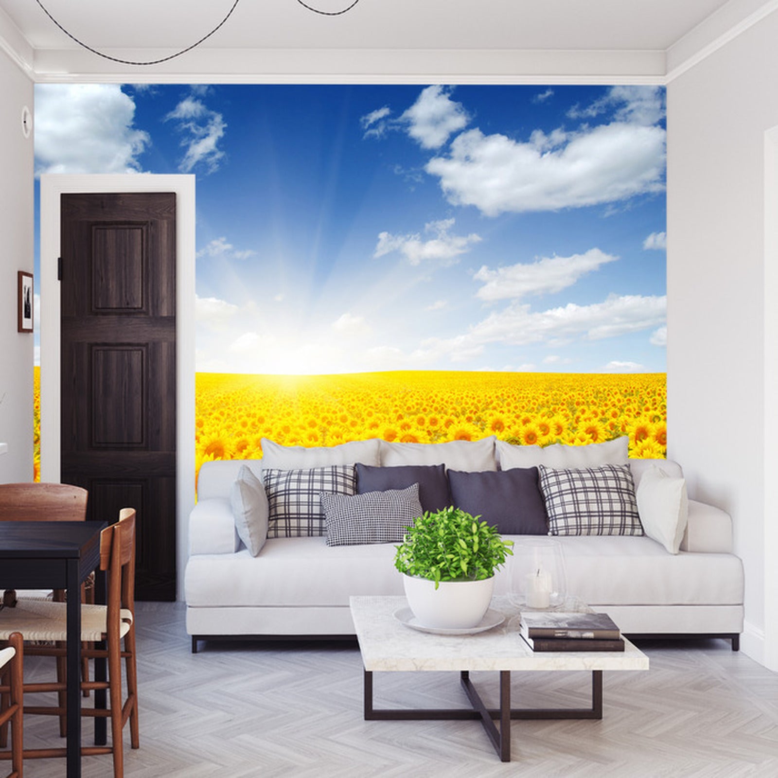 Fototapet Felt Med Blomstrende Solsikker