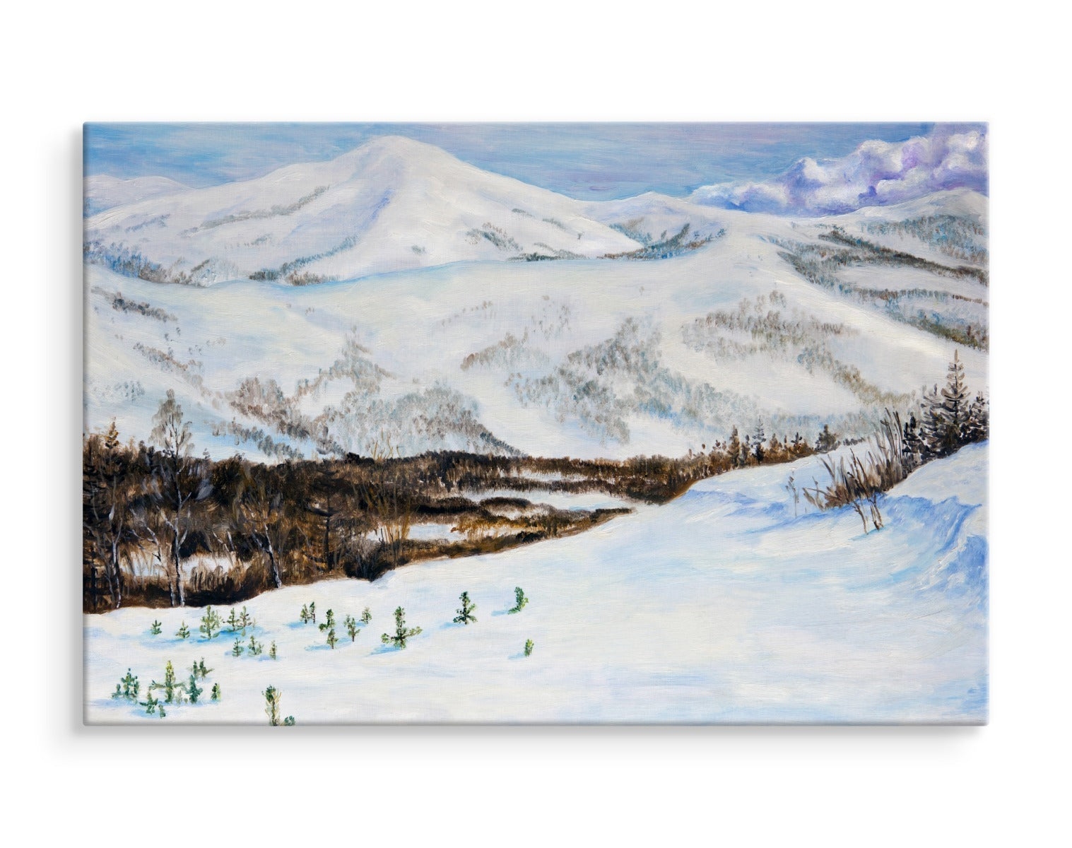 Landskap med snødekte fjell