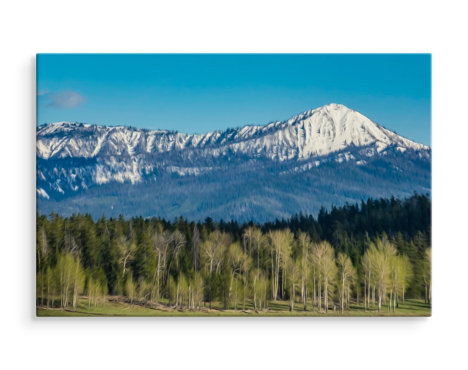Grand teton nasjonalpark i usa