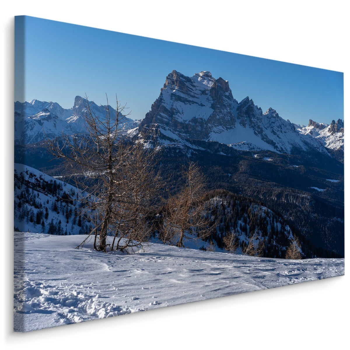 Vinter 3d fjellandskap