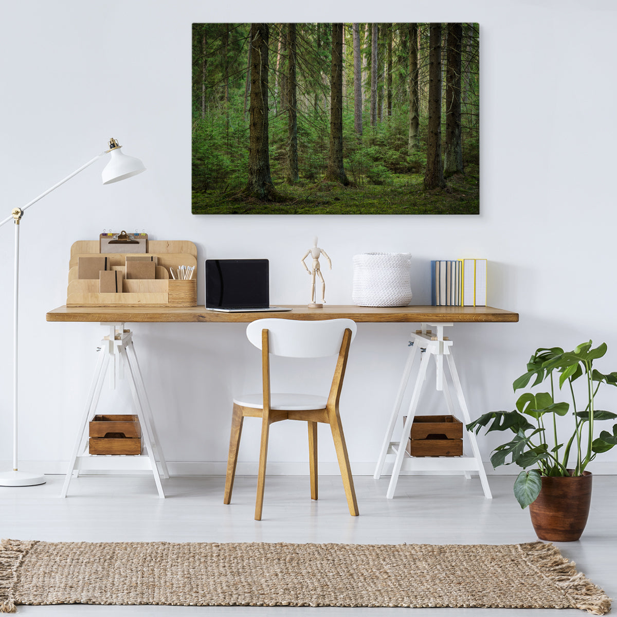 Skog 3d-visning