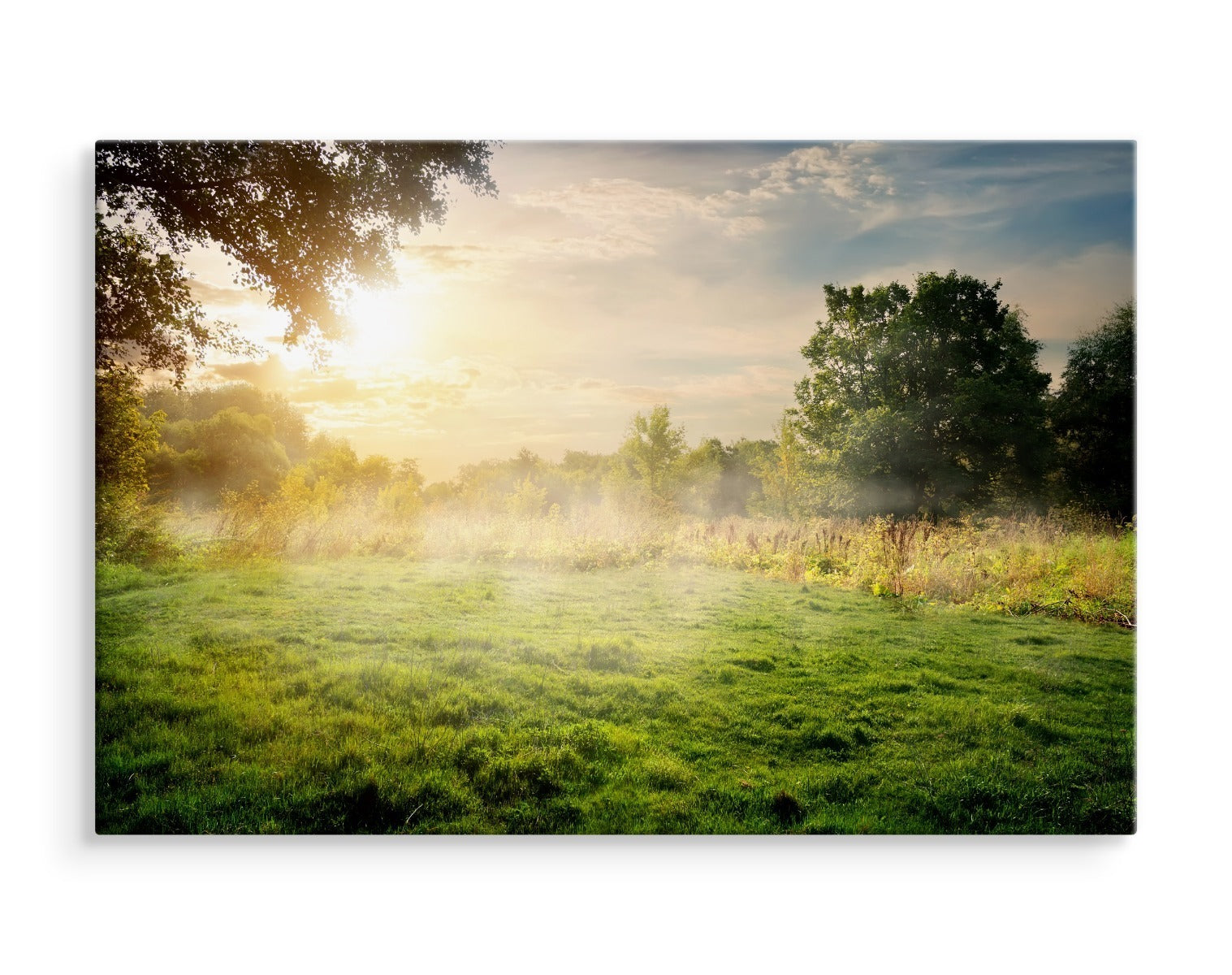 En skogrydding om morgenen
