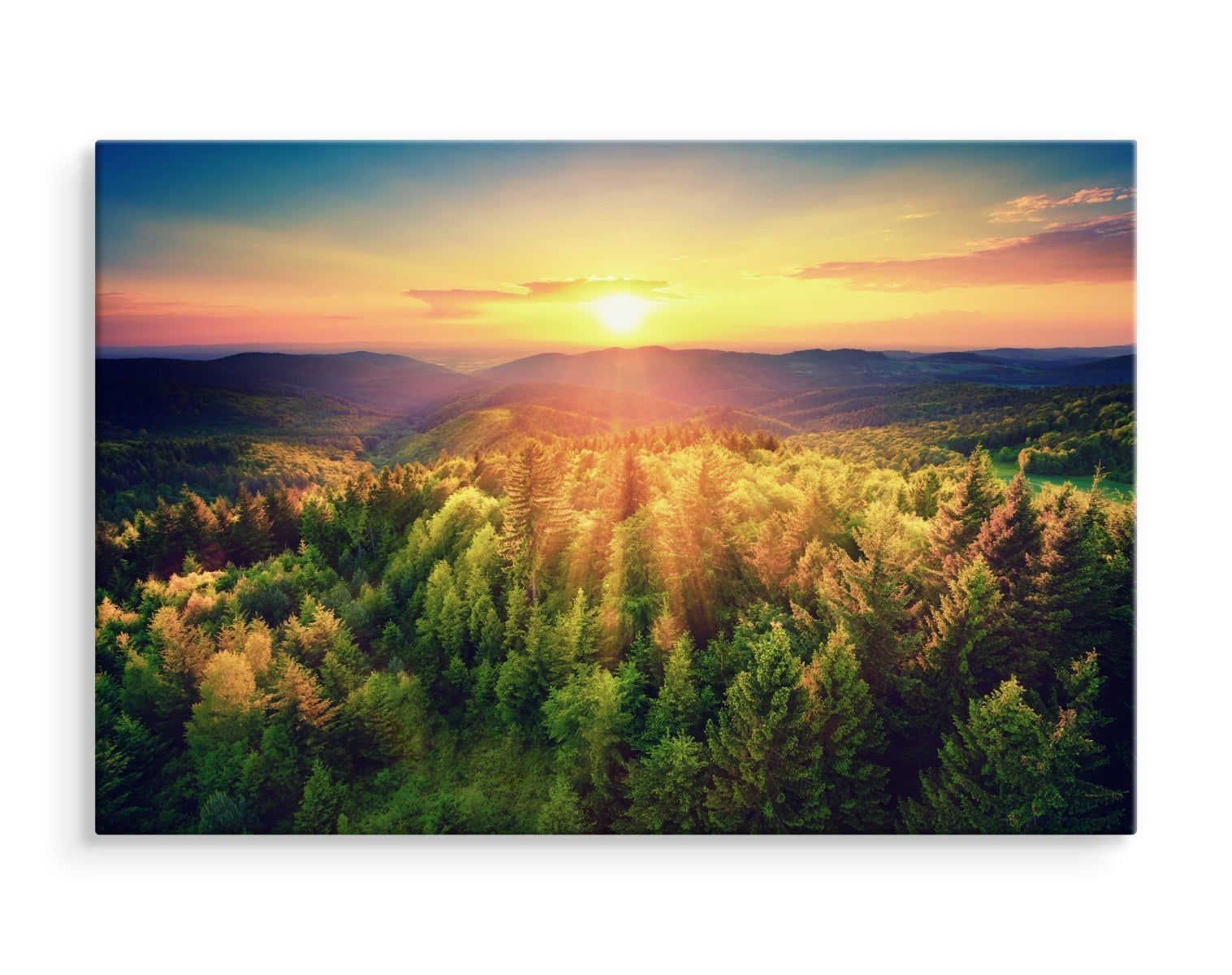 Solnedgang over forest hills