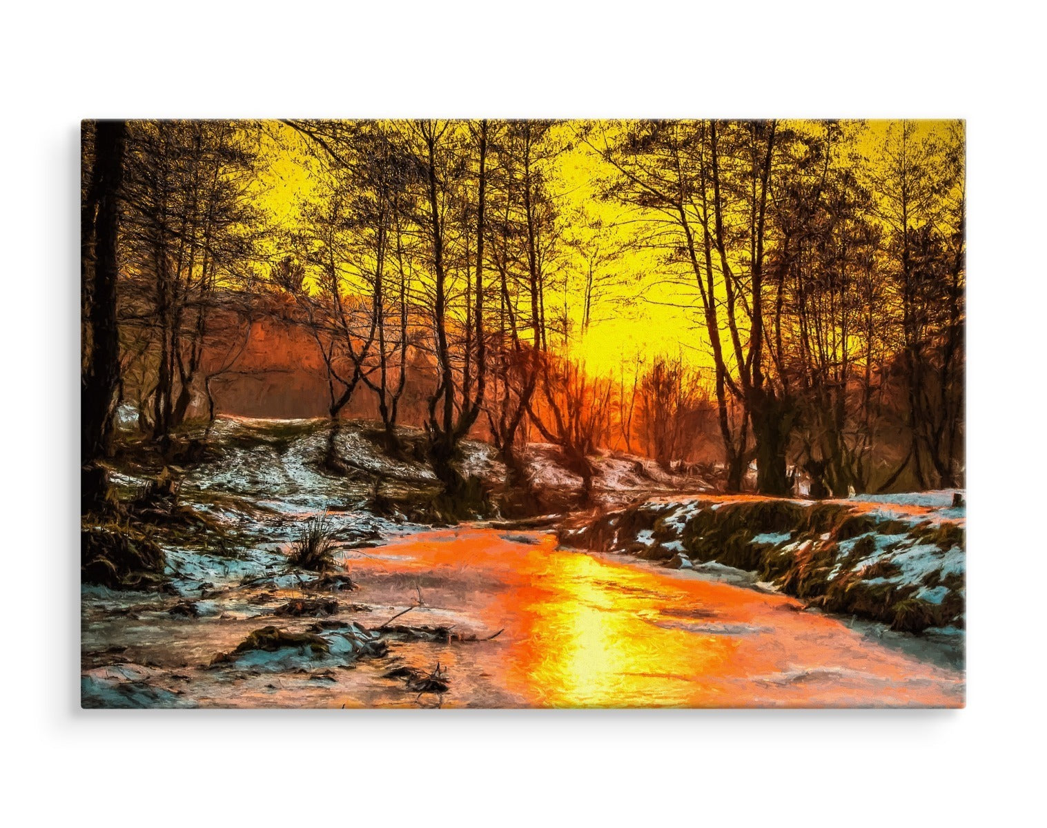 Solnedgang i skogen