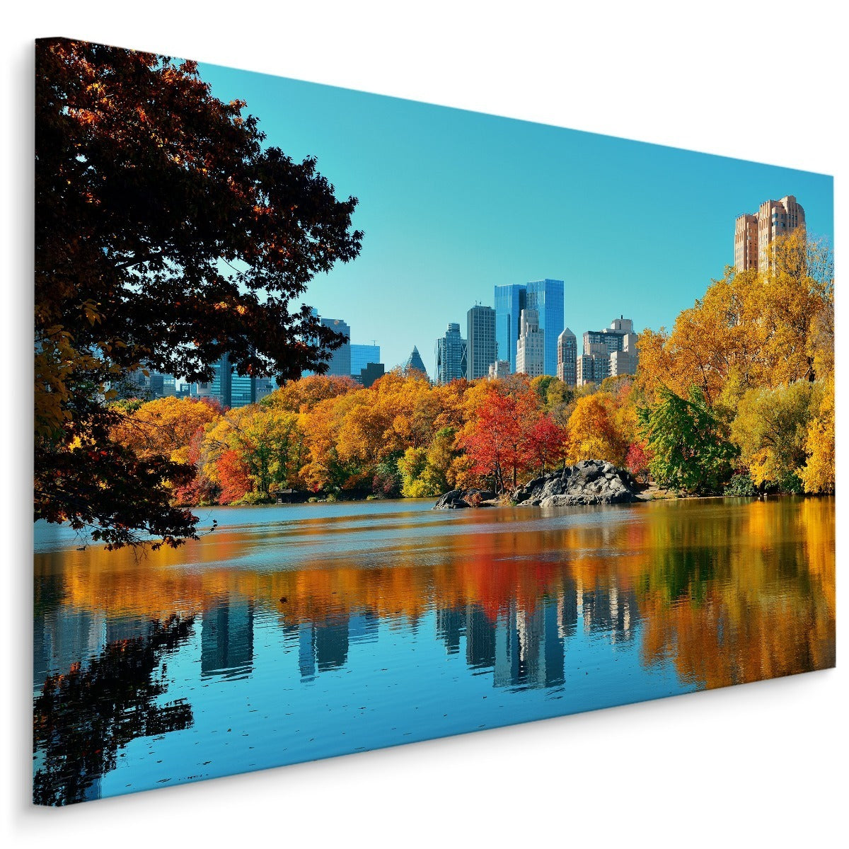 Central park om høsten