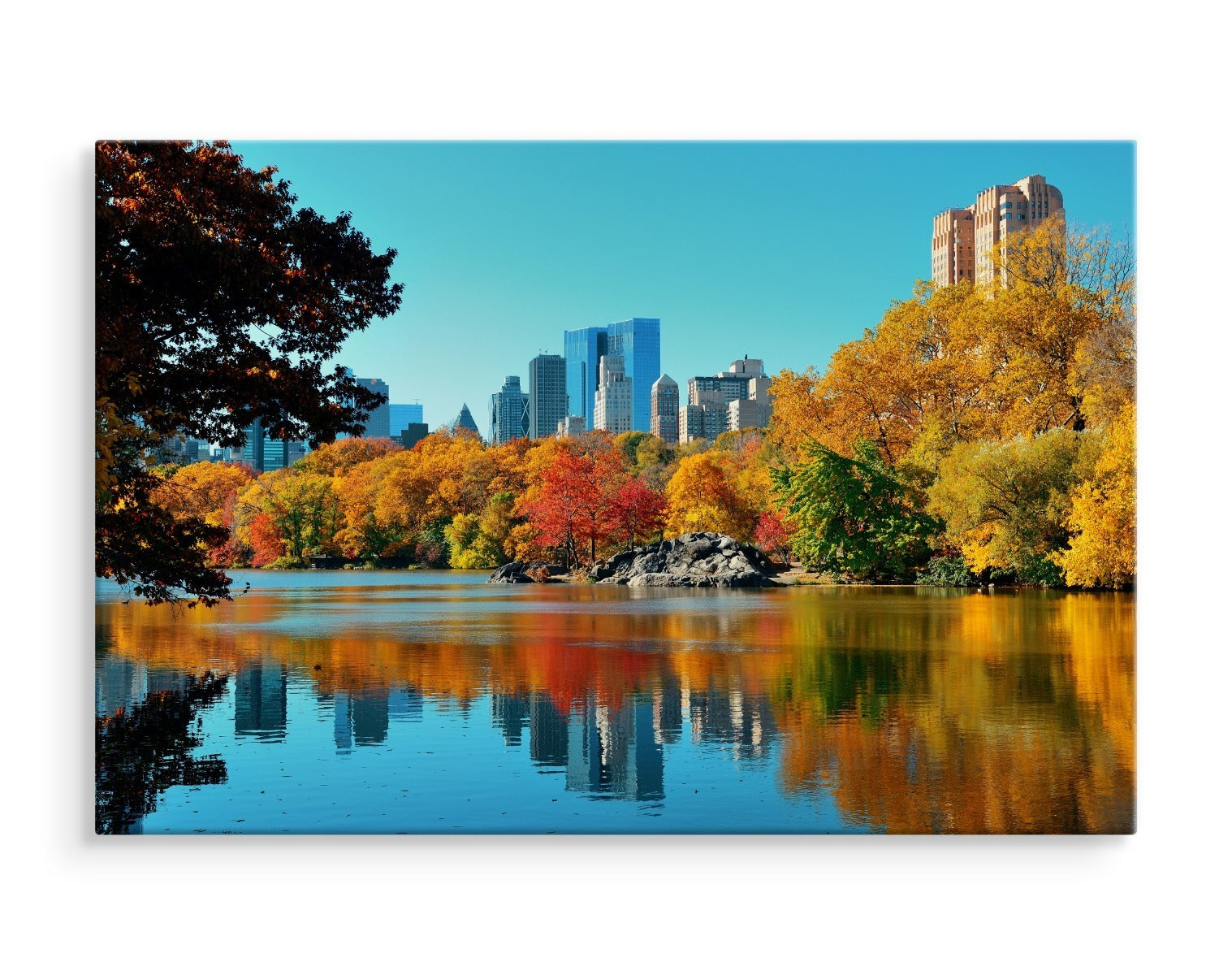 Central park om høsten