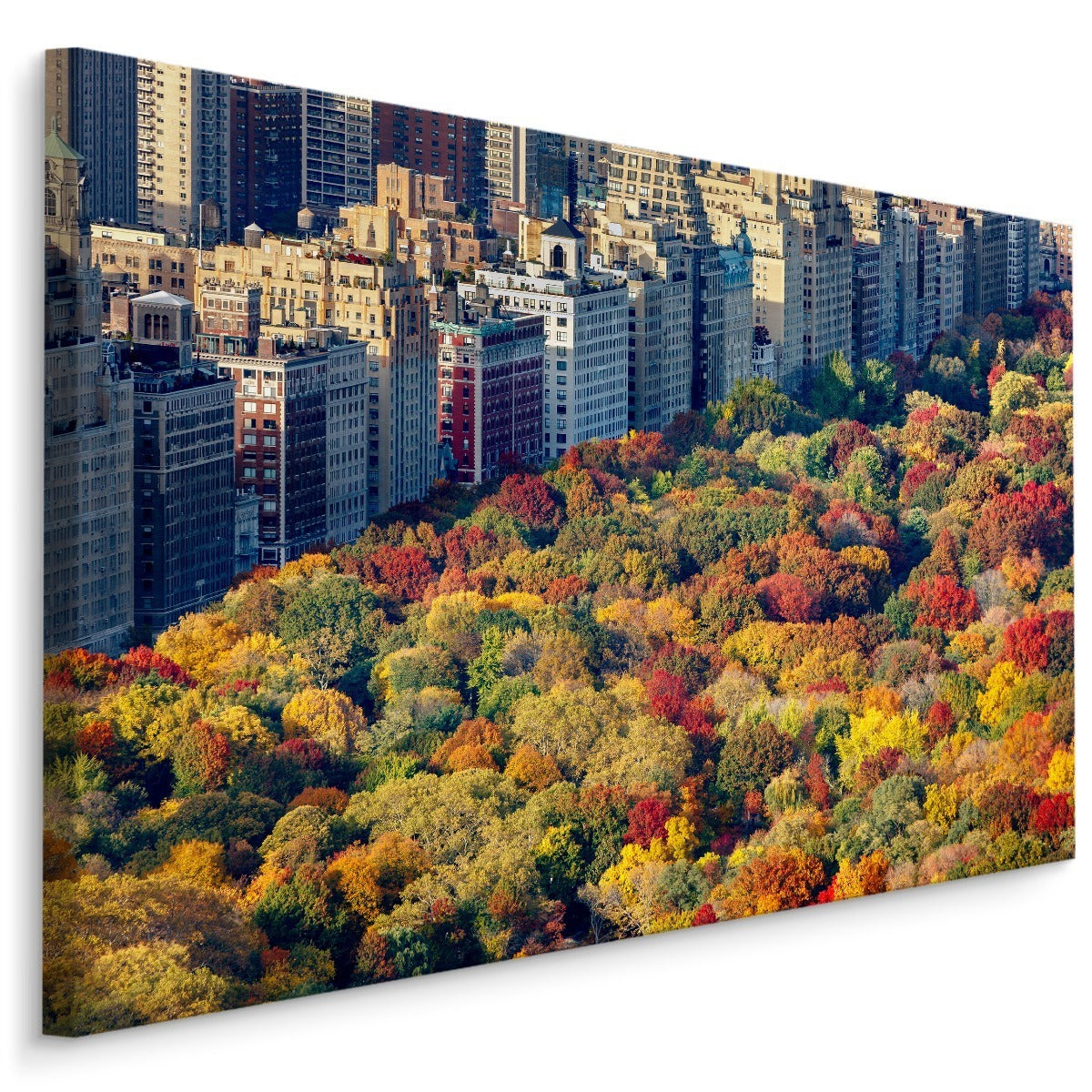 Luftfoto fra central park