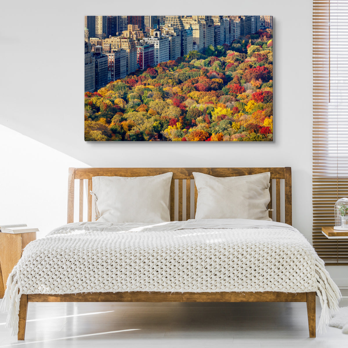 Luftfoto fra central park