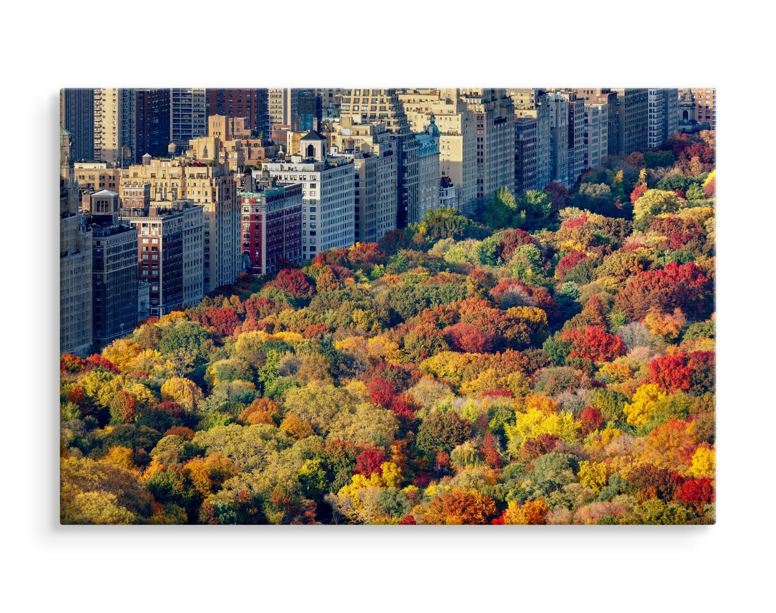 Luftfoto fra central park