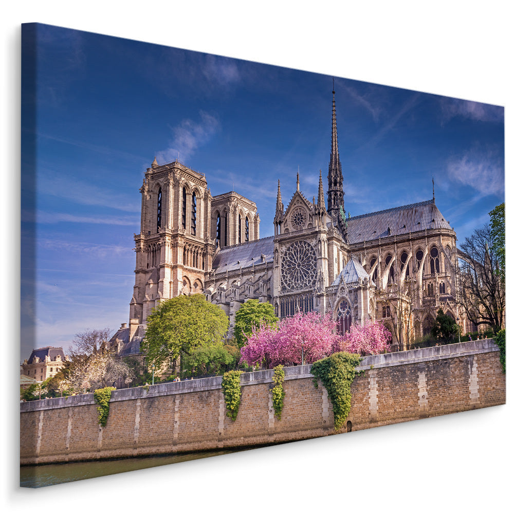 Notre dame katedral, paris