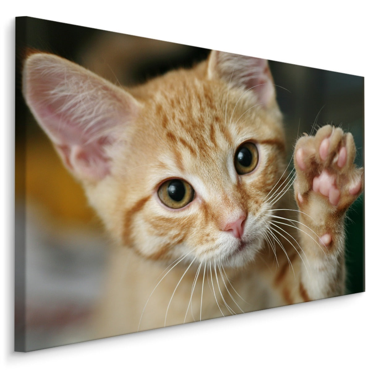 Vinkende 3d-kattunge
