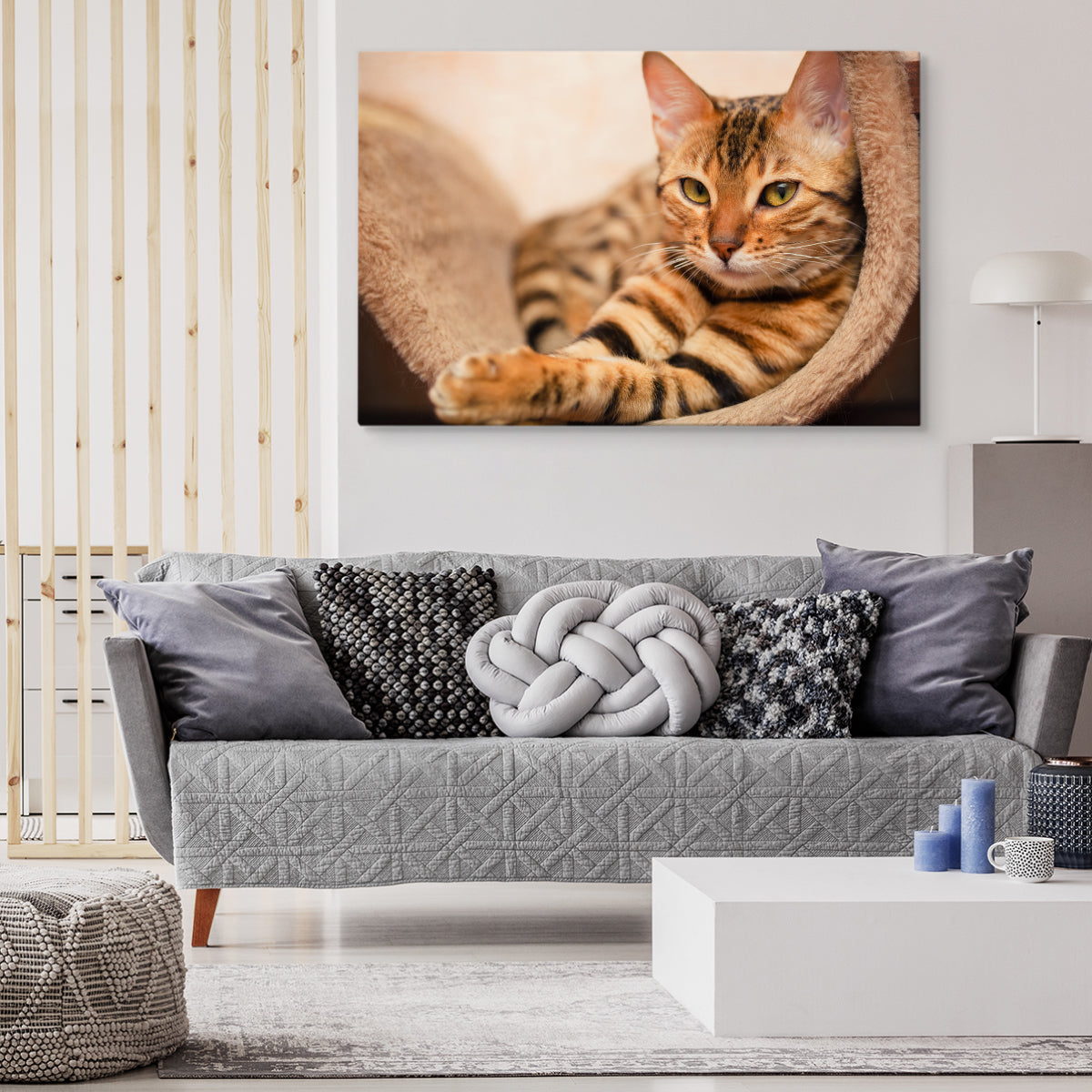 Bengal katt