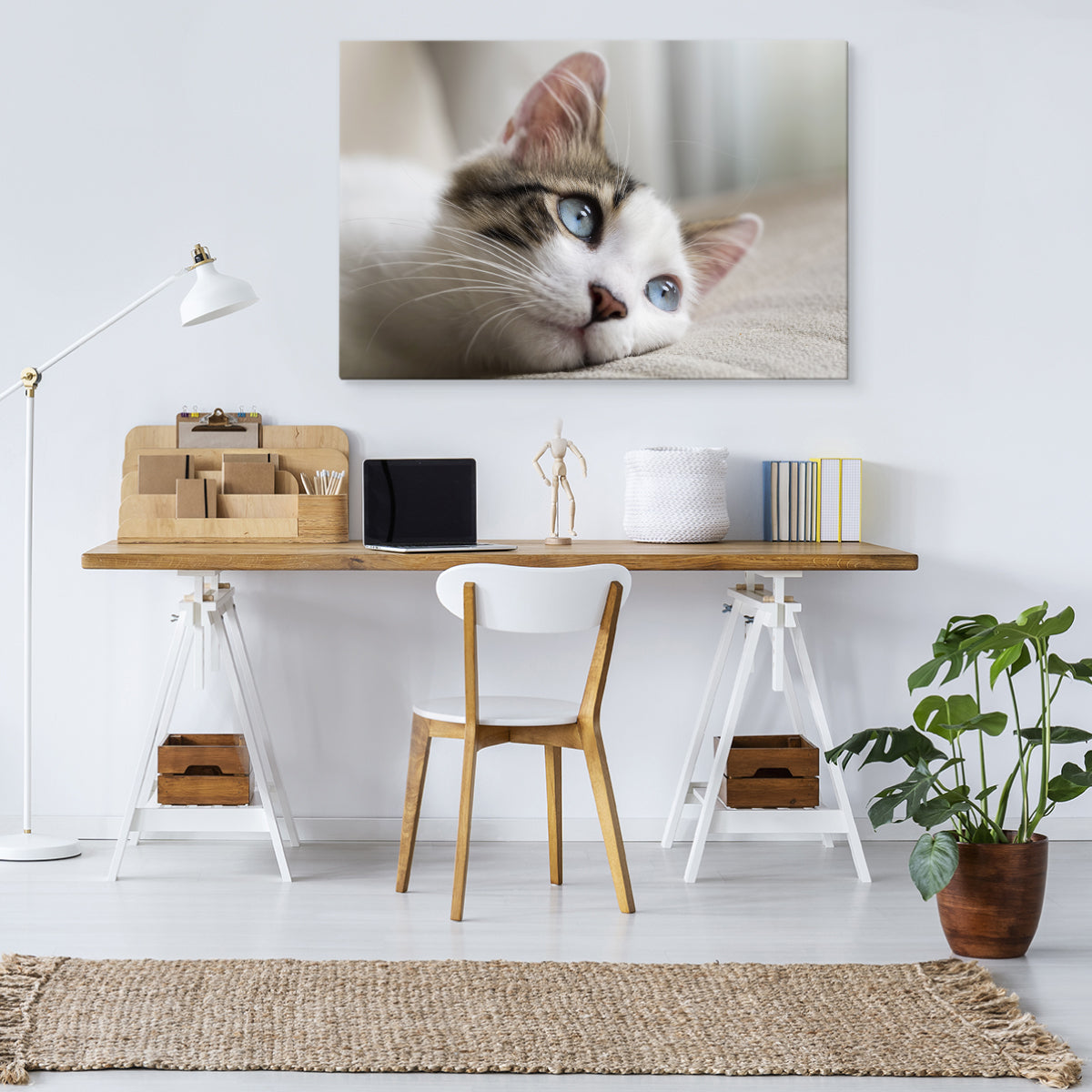 Drømmende kattunge