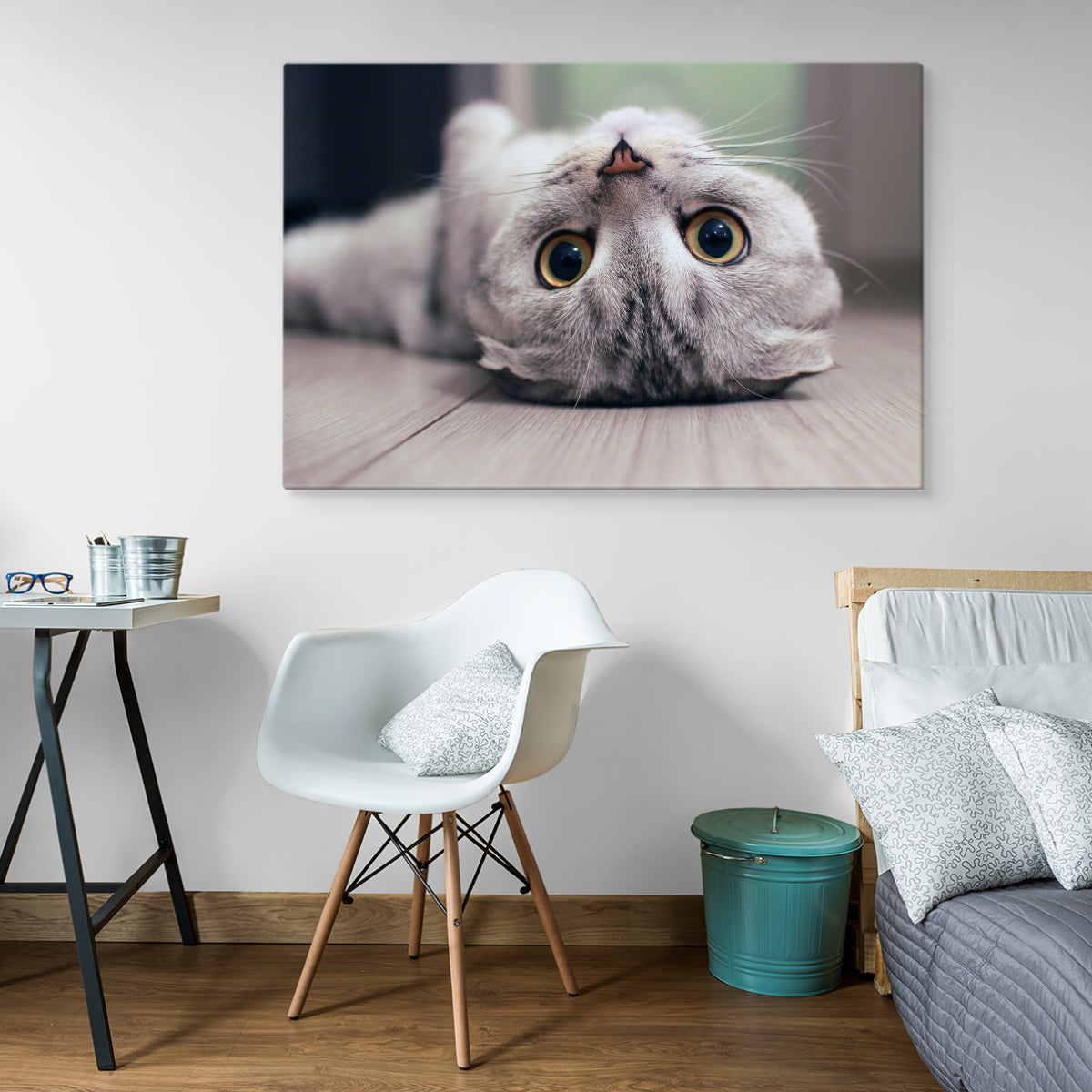 Skotsk fold katt