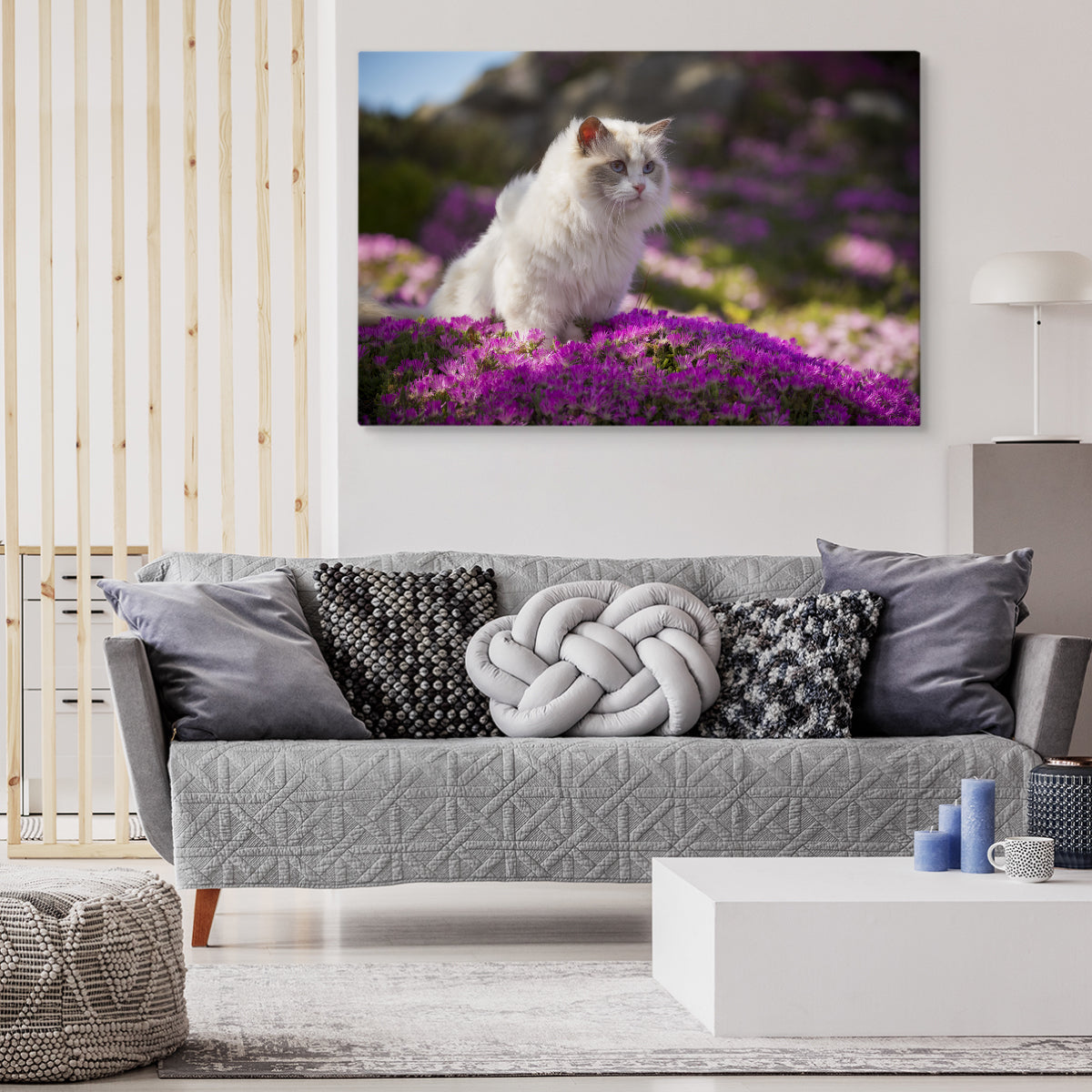 Ragdoll katt blant blomster