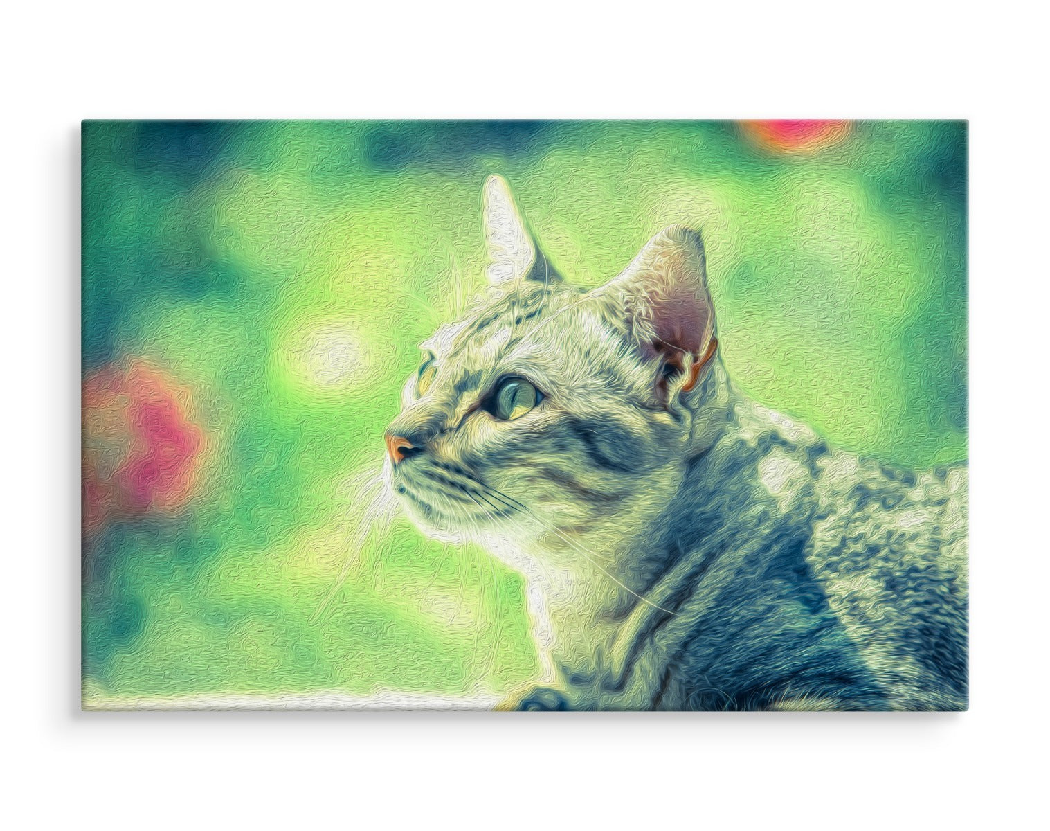 Katten ser ut som en malt en