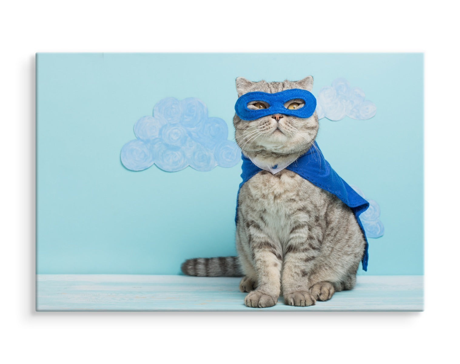 Grå katt med maske og kappe