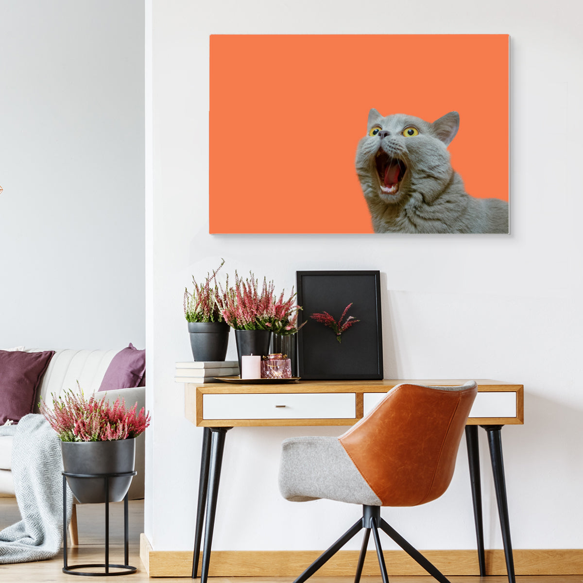 Britisk katt på oransje bakgrunn