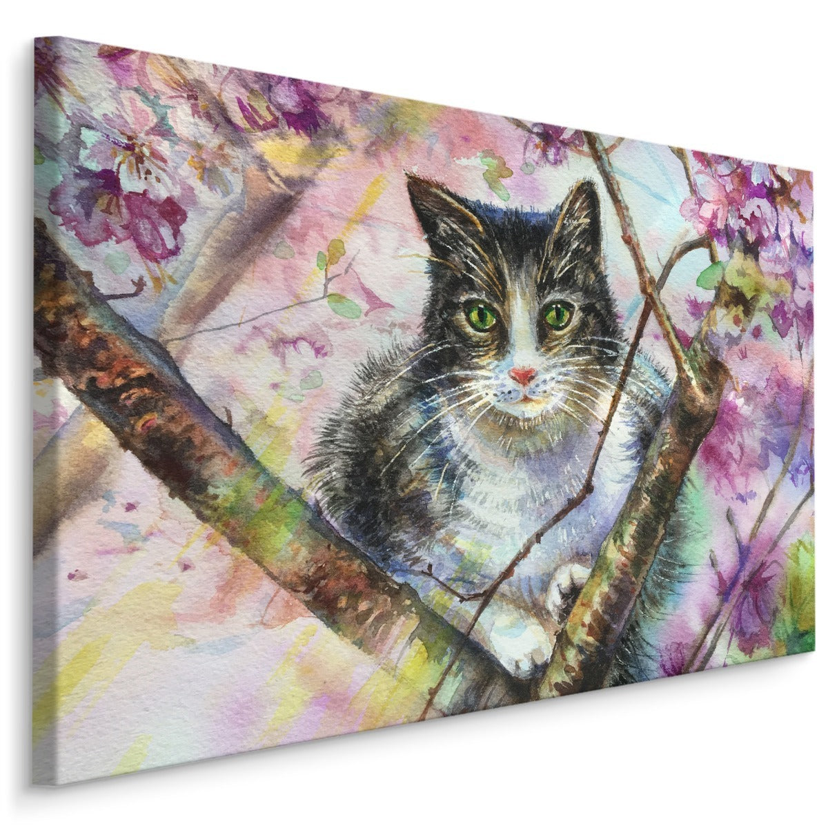 Katt i en blomstrende hage