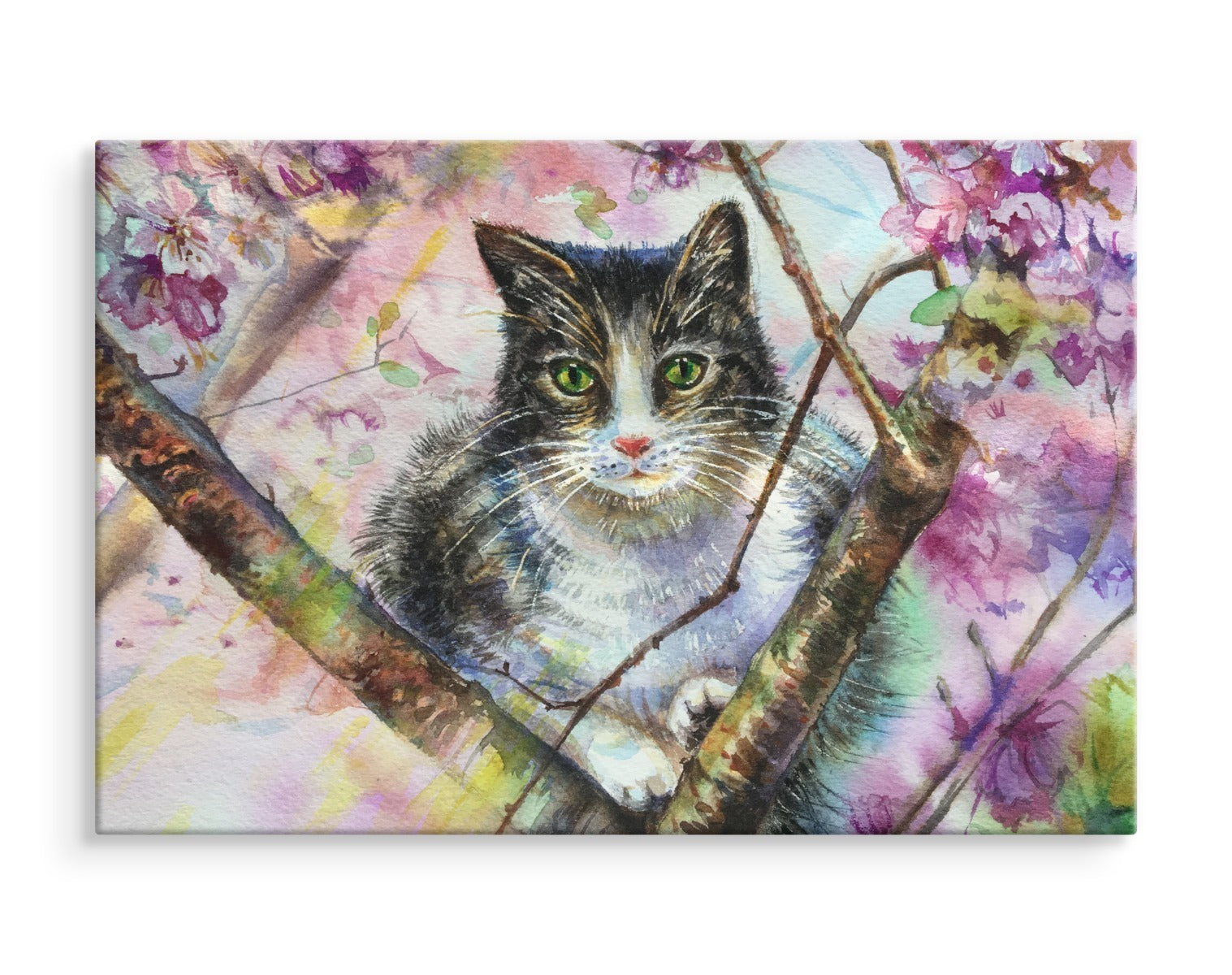 Katt i en blomstrende hage