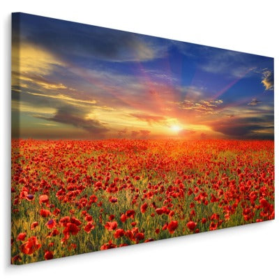 Solnedgang over et felt med valmuer 3d