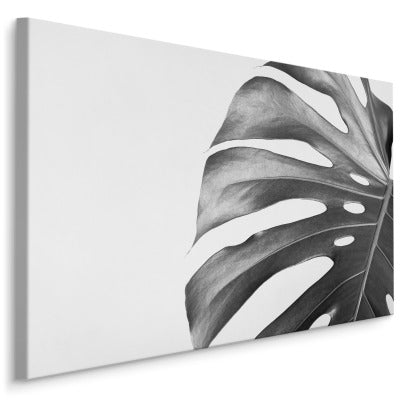 Monstera blad i sort og hvit versjon