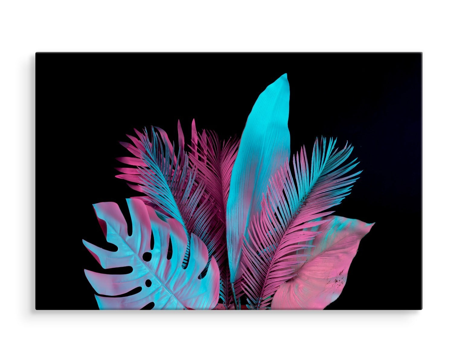 Neon tropiske blader på en svart bakgrunn