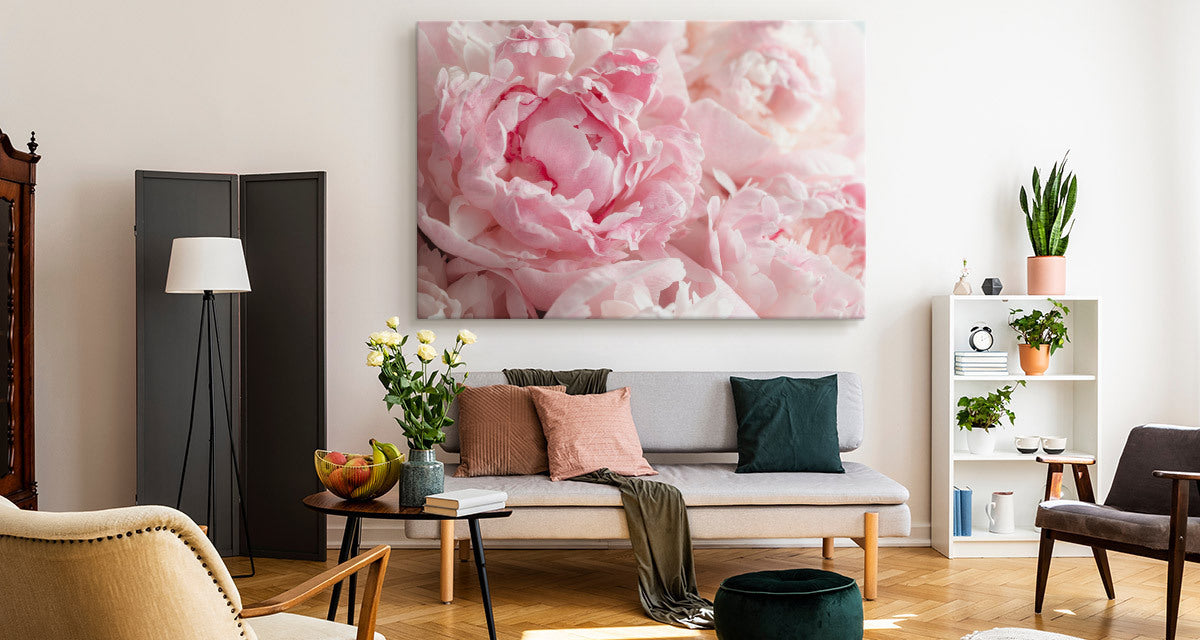 Peoner i lys rosa